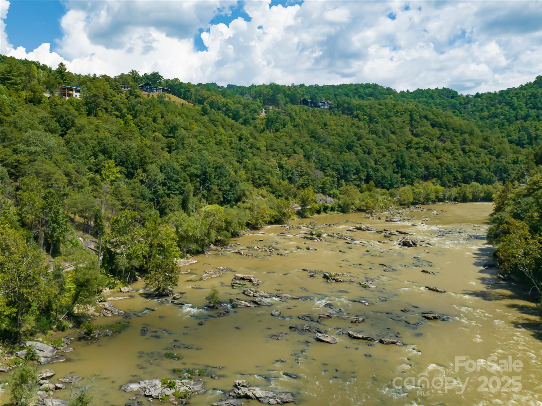 French Broad River - 101 Red Maple Run, Marshall