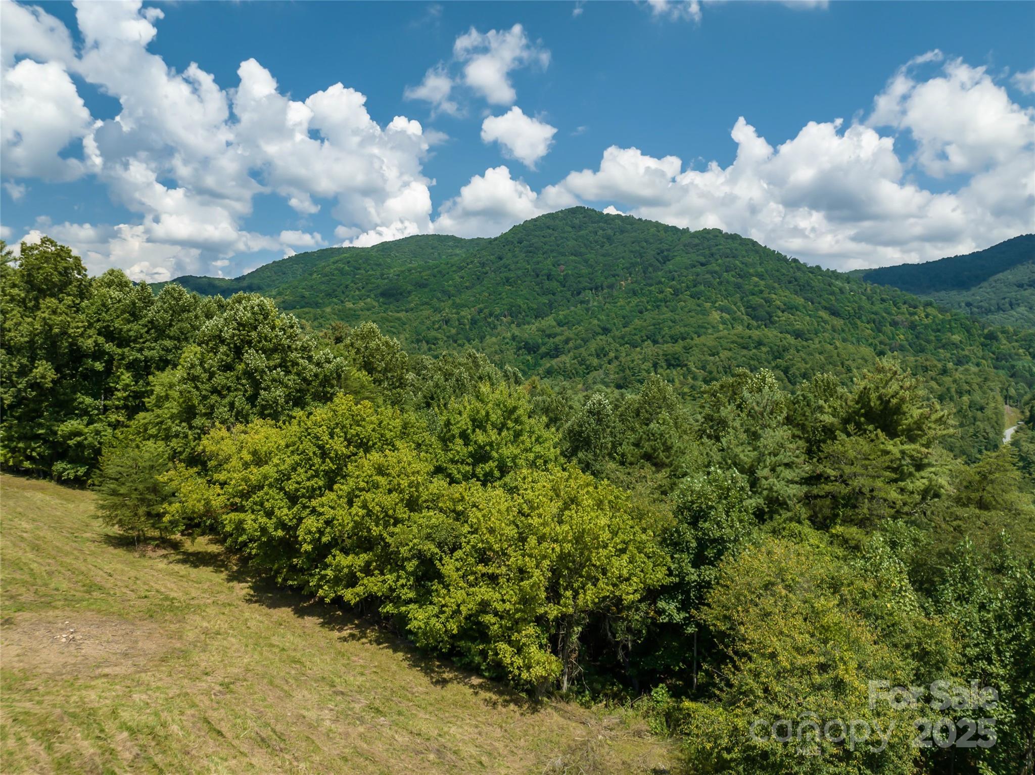 Cleared Level homesite at end of cul-de-sac - 101 Red Maple Run, Marshall