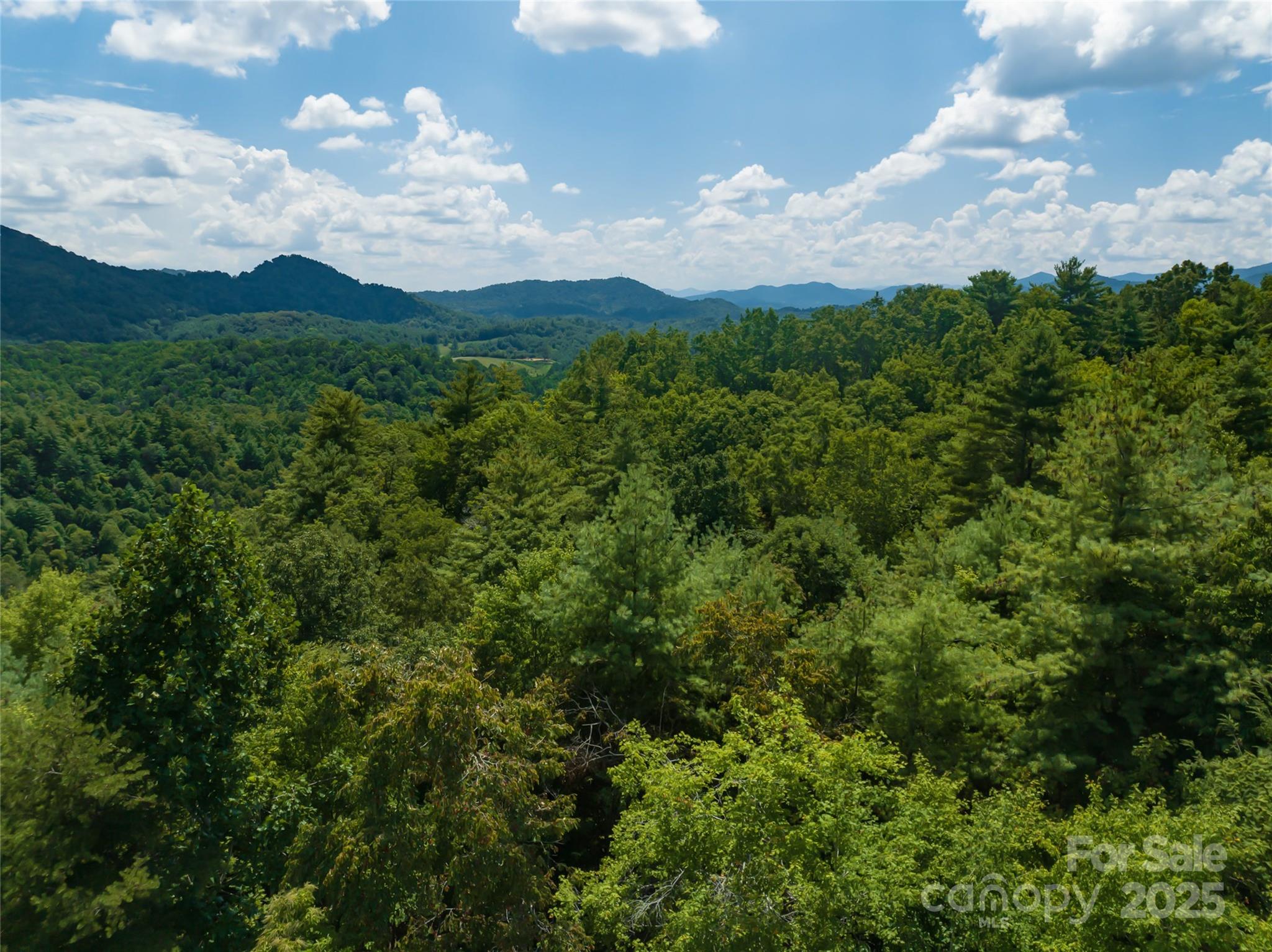 Lot at 101 Red Maple Run, Marshall, photo 40 of 45
