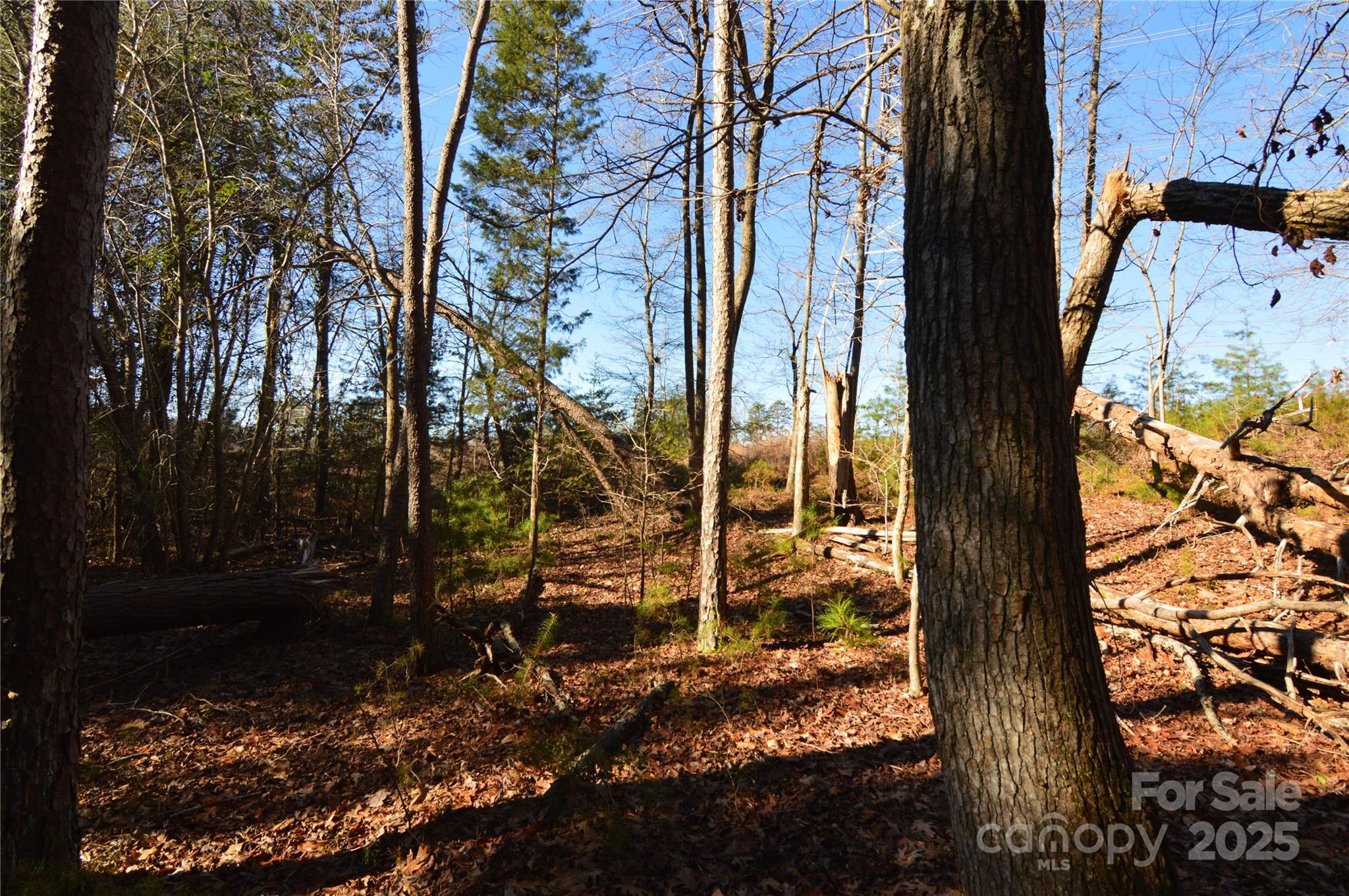 Lot at 5036 Hermitage Court, Belmont, photo 4 of 38