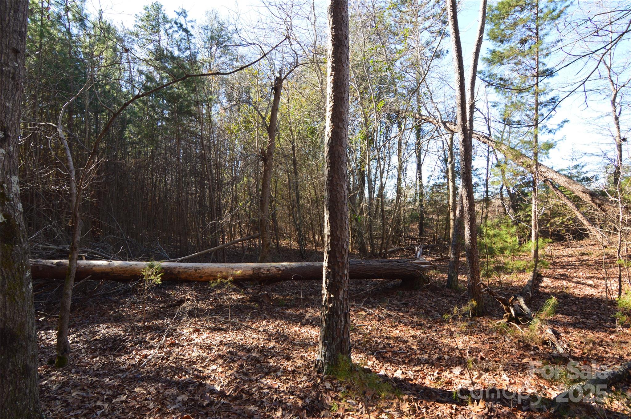 Lot at 5036 Hermitage Court, Belmont, photo 5 of 38