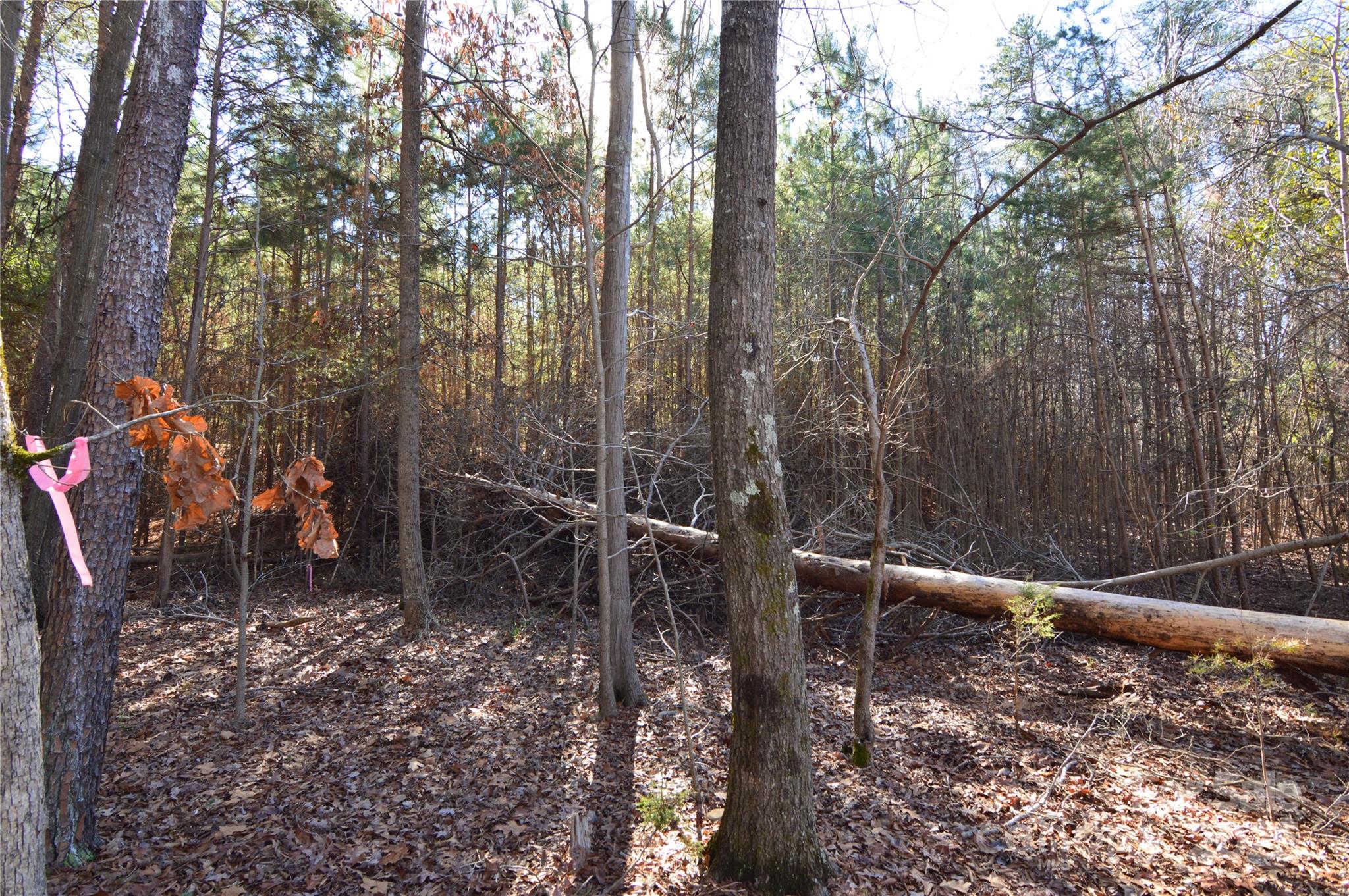 Lot at 5036 Hermitage Court, Belmont, photo 6 of 38