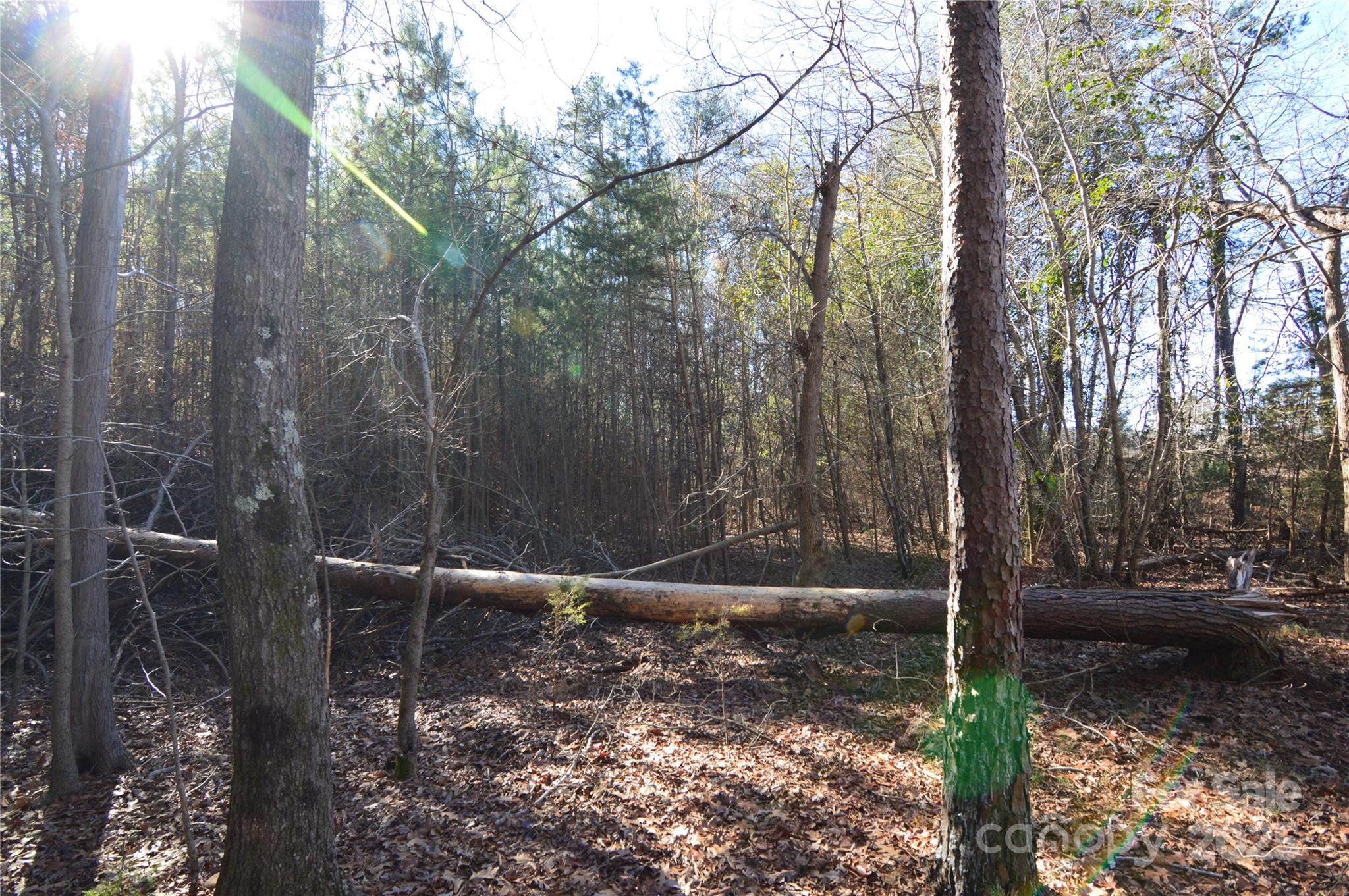 Lot at 5036 Hermitage Court, Belmont, photo 7 of 38