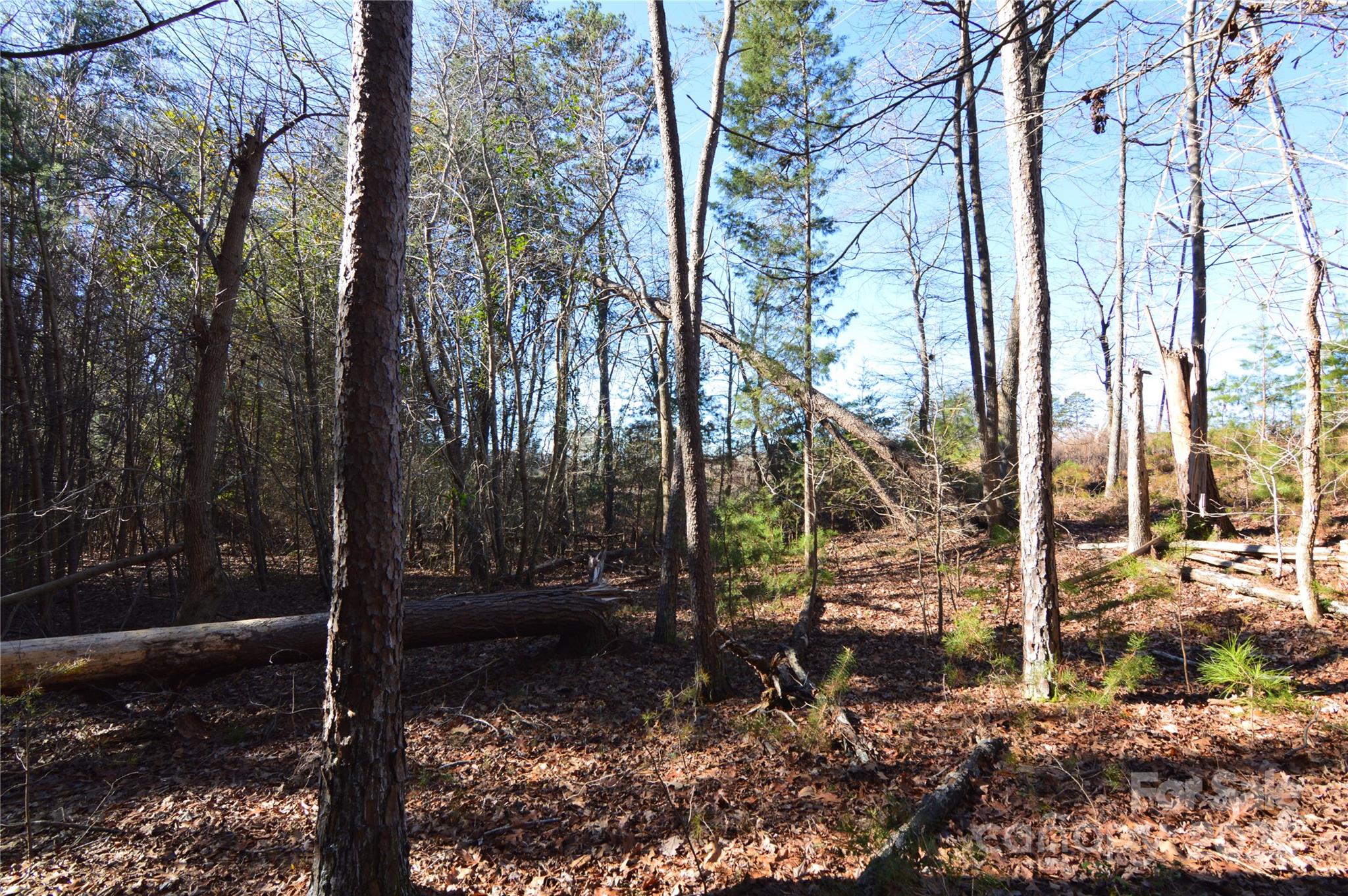 Lot at 5036 Hermitage Court, Belmont, photo 8 of 38