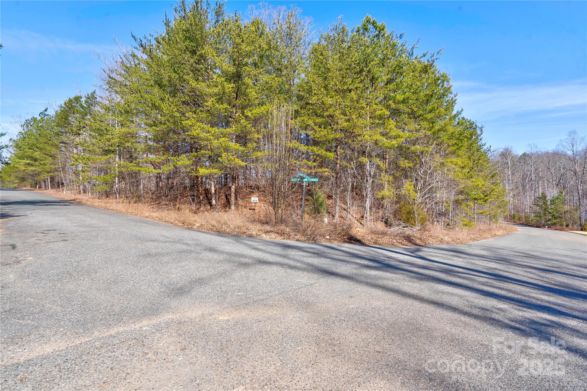 Lot at 104 W Highland Terrace, Kings Mountain, photo 2 of 7
