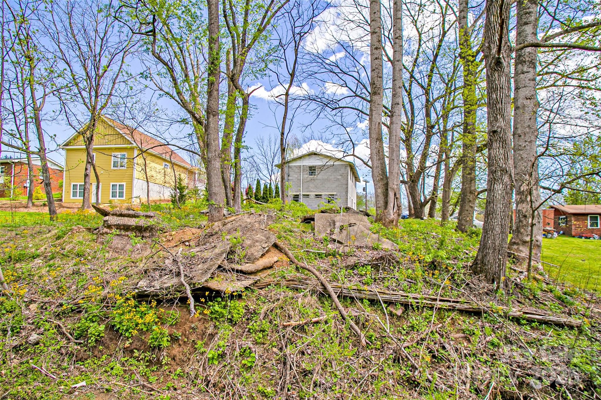 Single Family Residence at 80 Carver Street, Brevard, photo 24 of 27