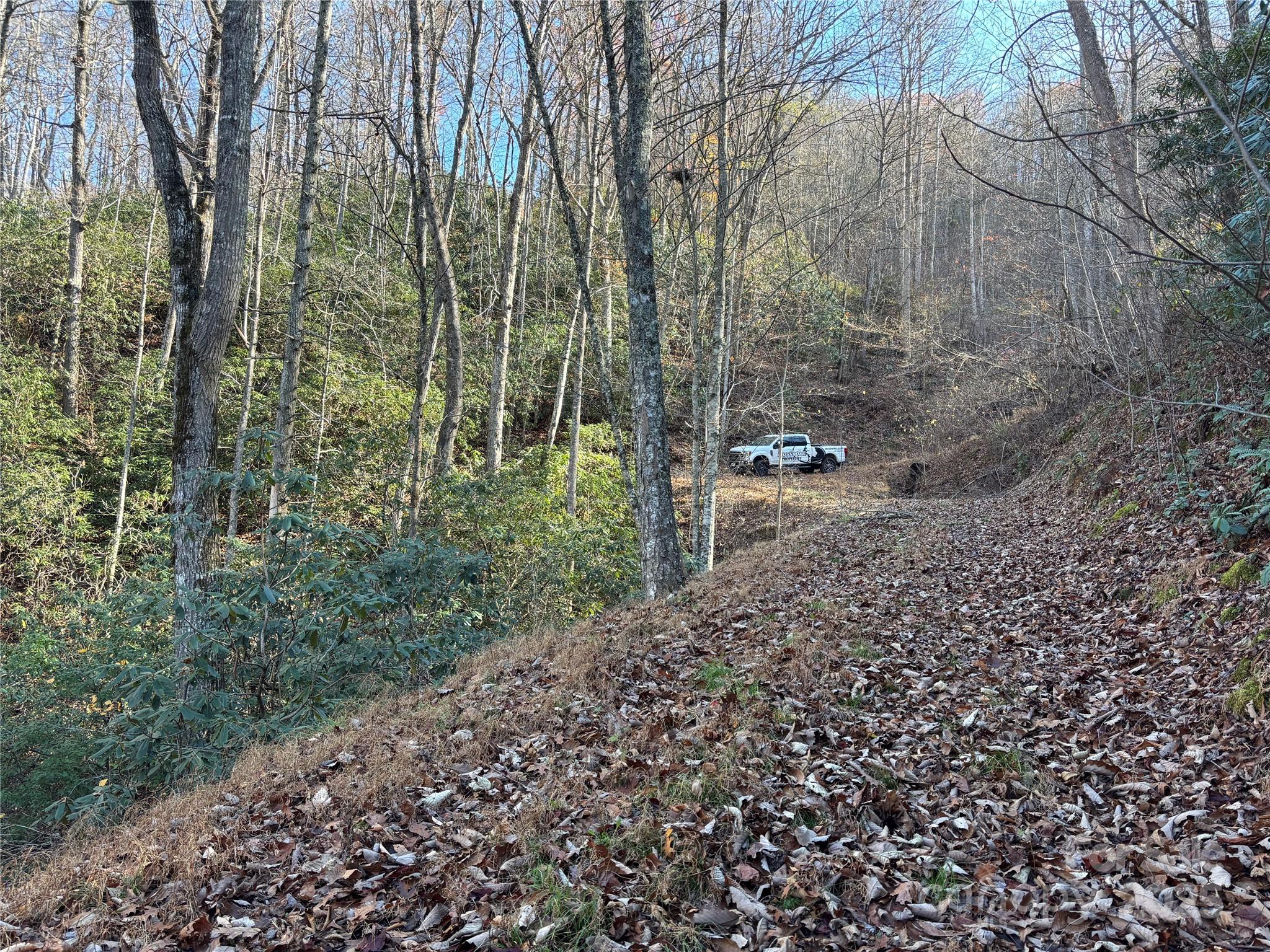 Acreage at OFF Houston Farm Road, Bryson City, photo 9 of 18