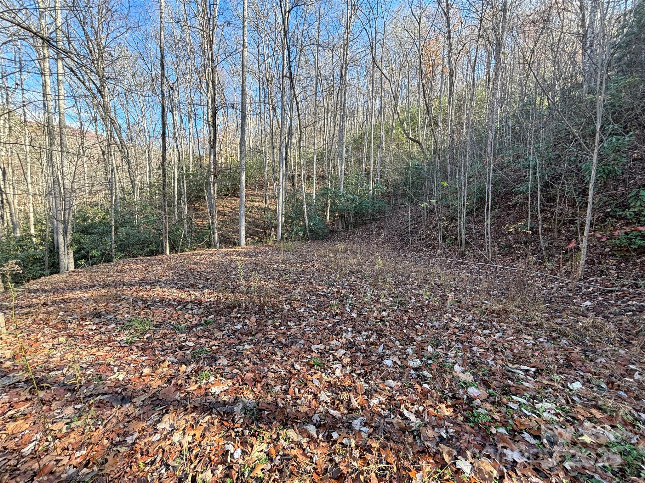 Acreage at OFF Houston Farm Road, Bryson City, photo 10 of 18