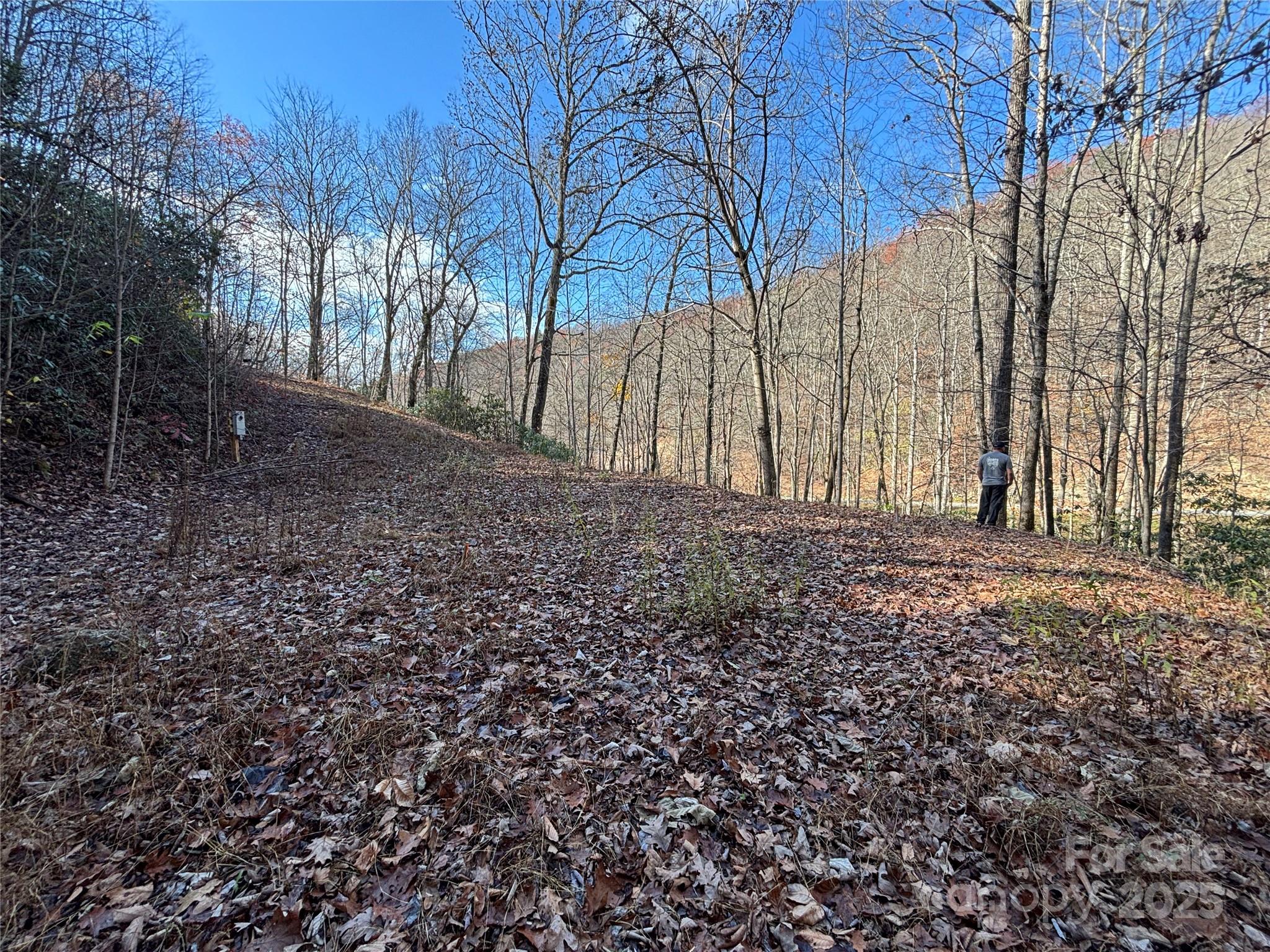 Acreage at OFF Houston Farm Road, Bryson City, photo 11 of 18