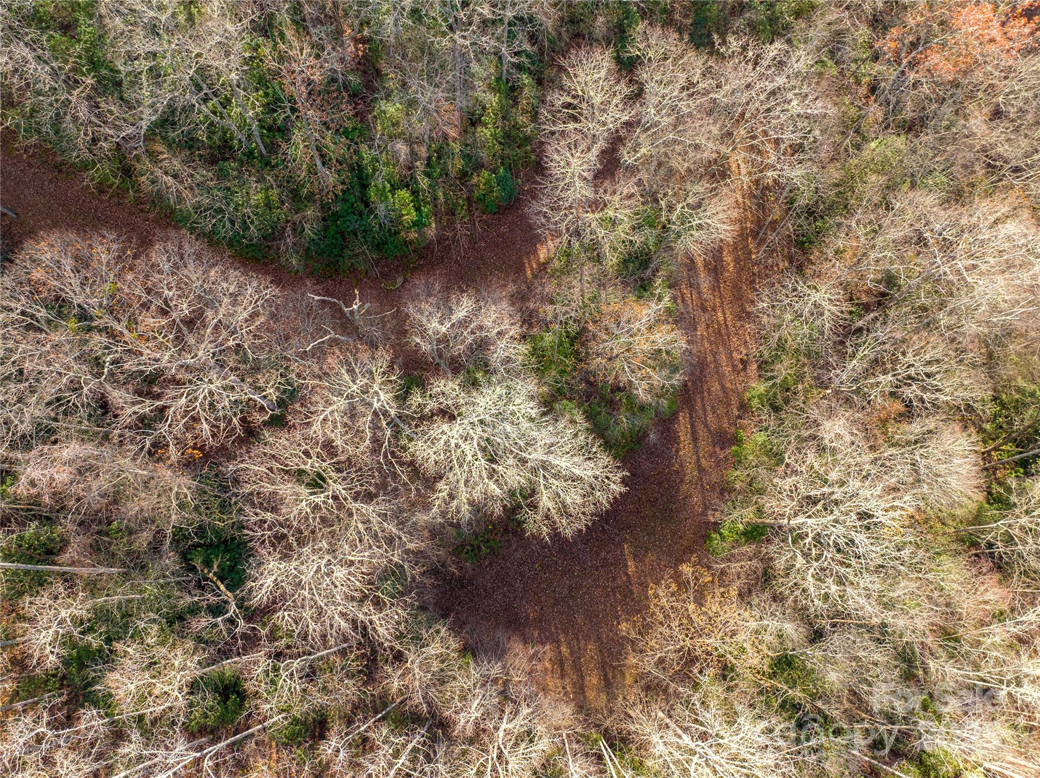 Acreage at OFF Houston Farm Road, Bryson City, photo 13 of 18