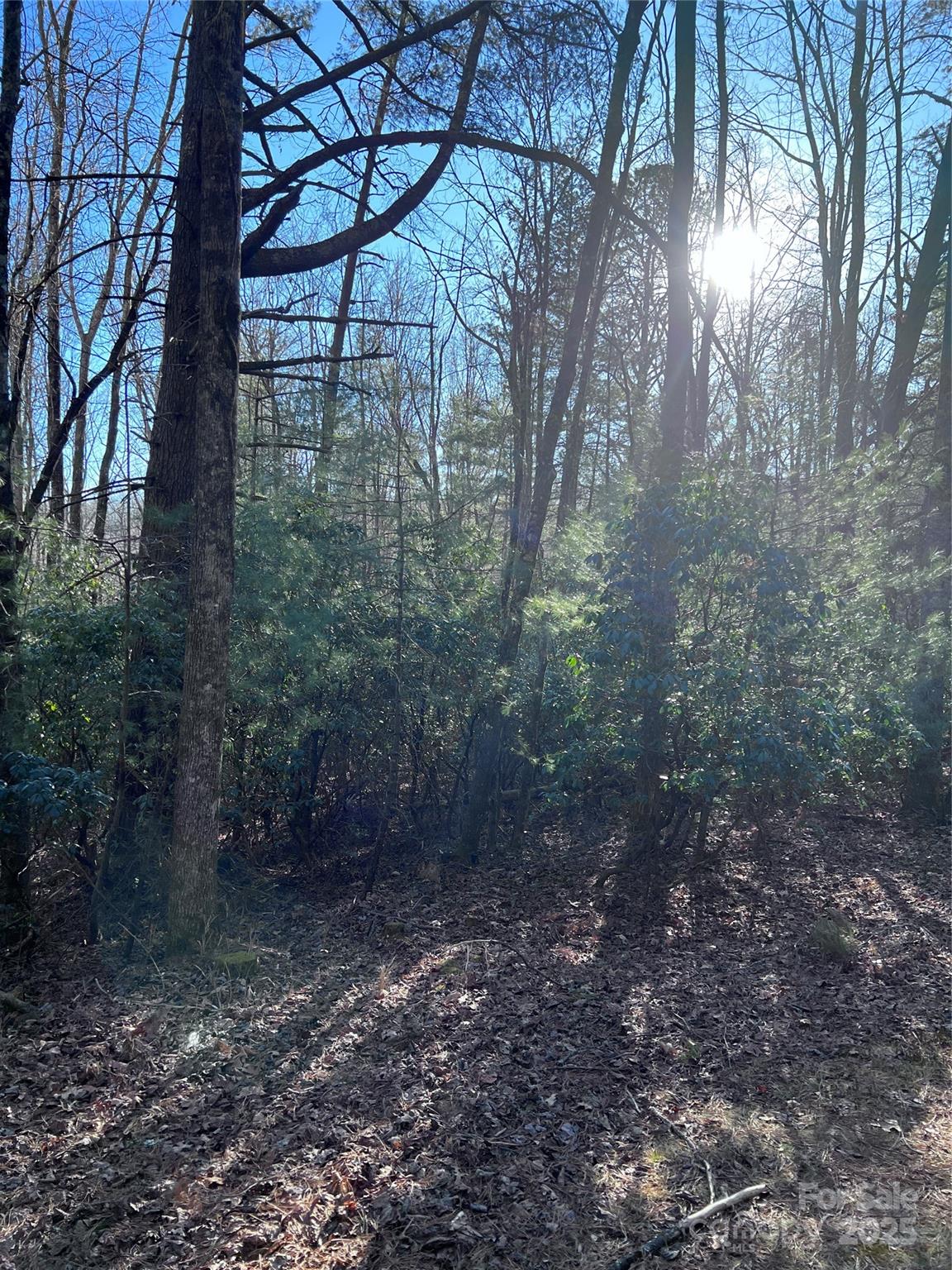 L26 Konnaneeta Trail