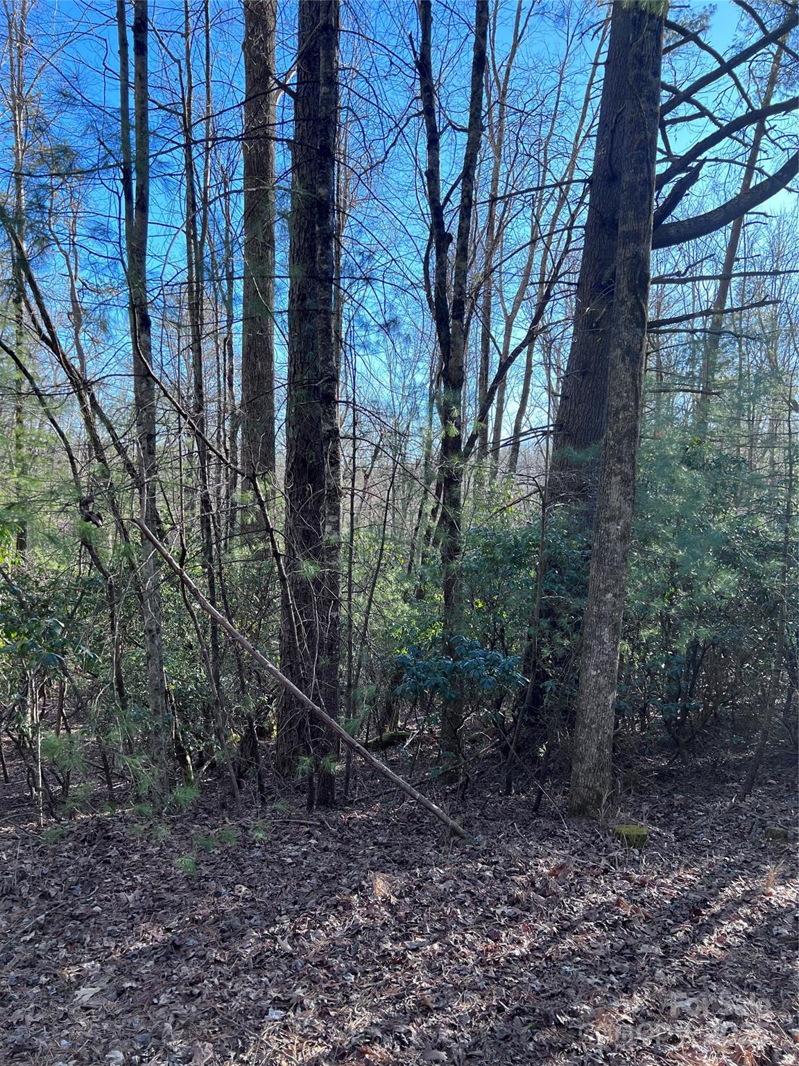 Lot at L26 Konnaneeta Trail, Brevard, photo 2 of 13