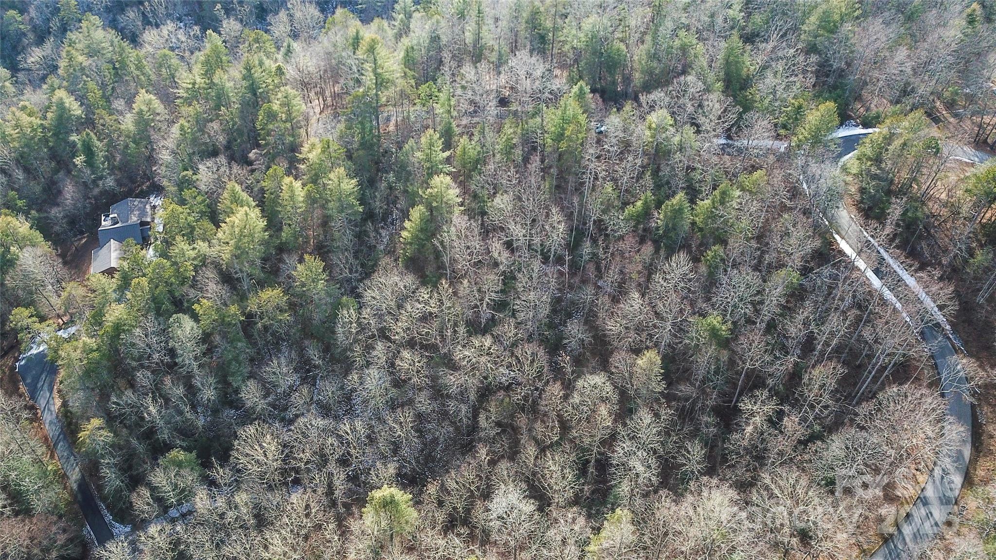 Lot at 0000 Stepp Ridge Court, Hendersonville, photo 3 of 23