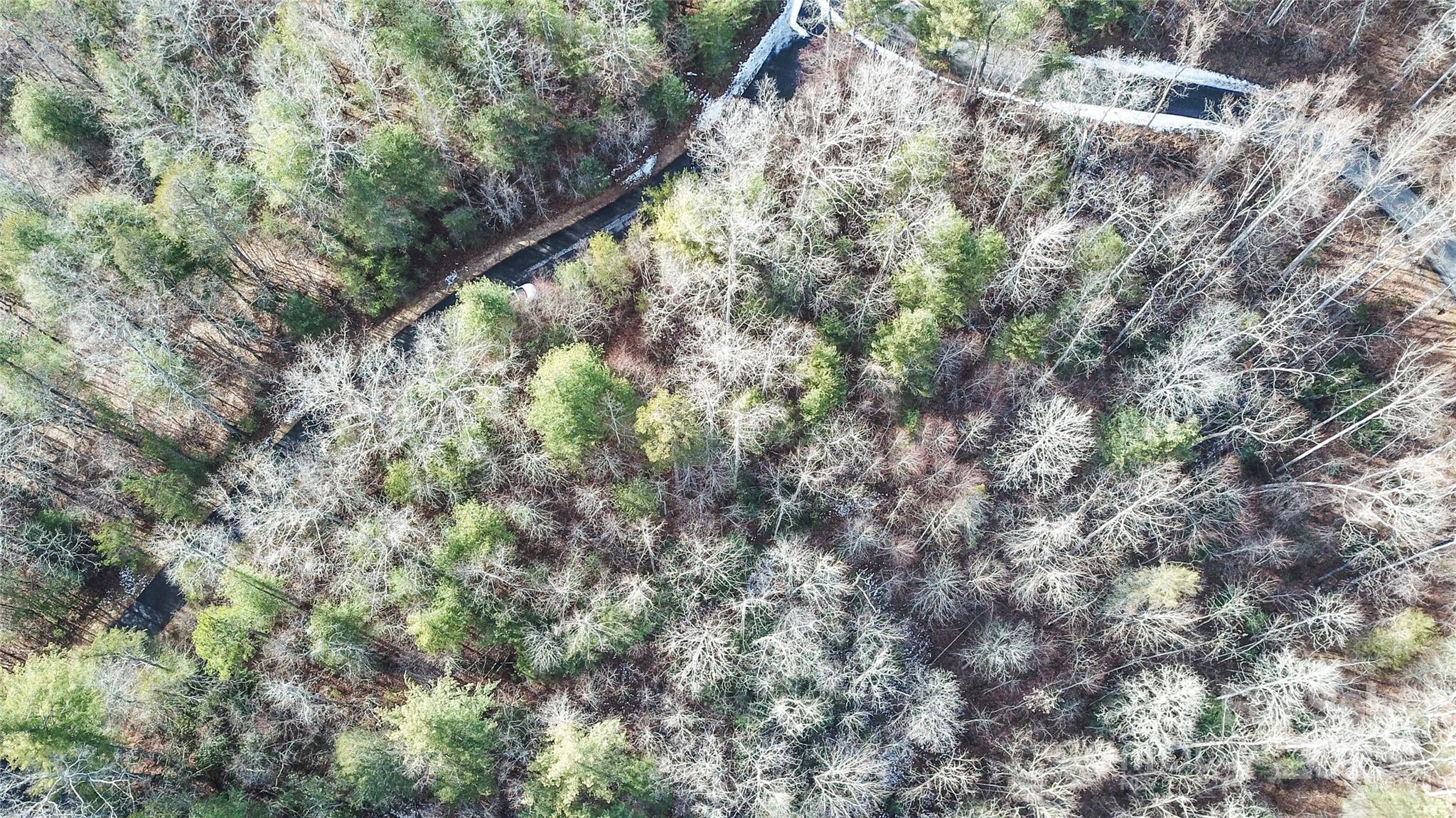 Lot at 0000 Stepp Ridge Court, Hendersonville, photo 4 of 23