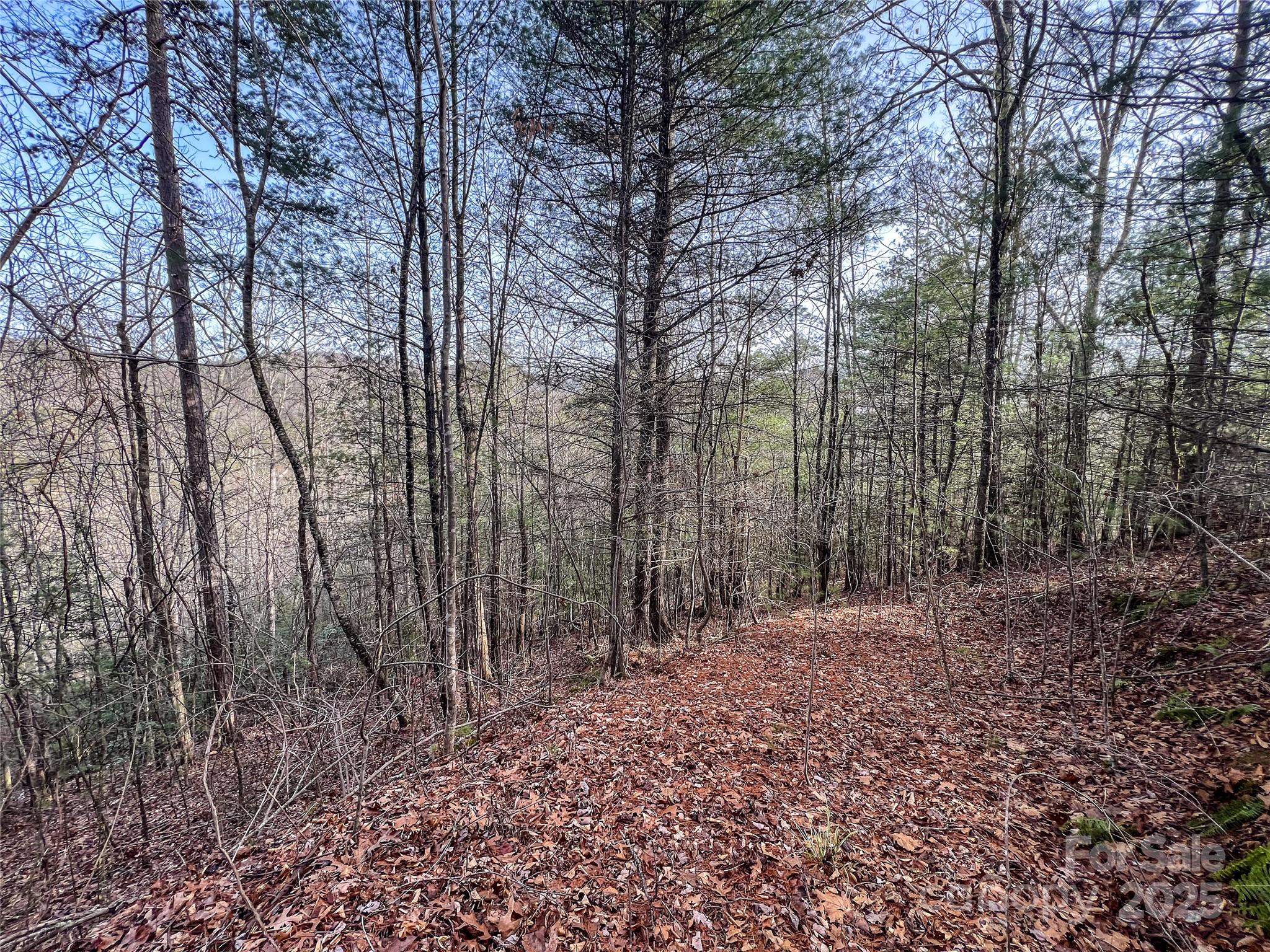 Potential Building site - 0000 Stepp Ridge Court, Hendersonville