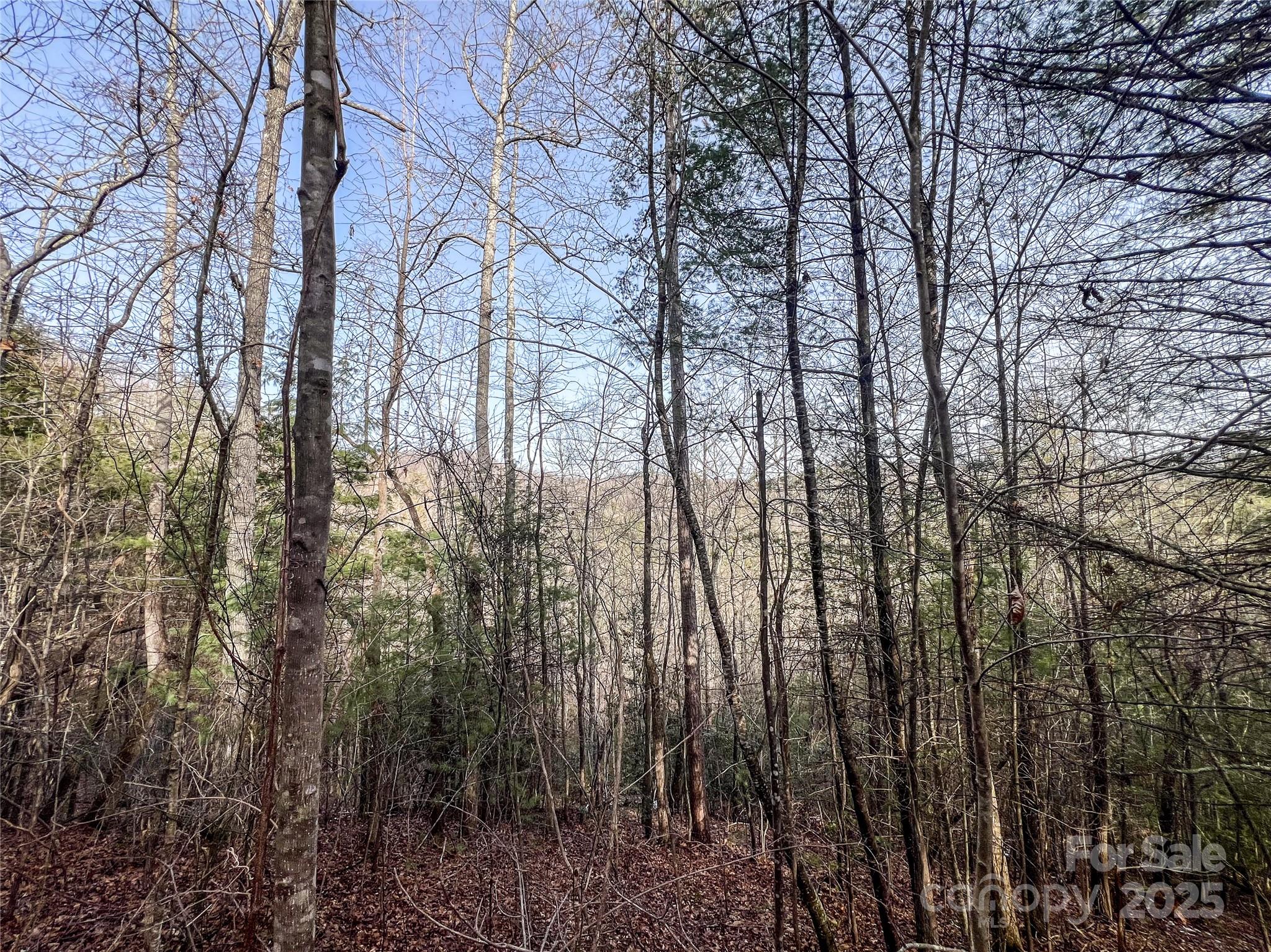 Potential views abound! - 0000 Stepp Ridge Court, Hendersonville
