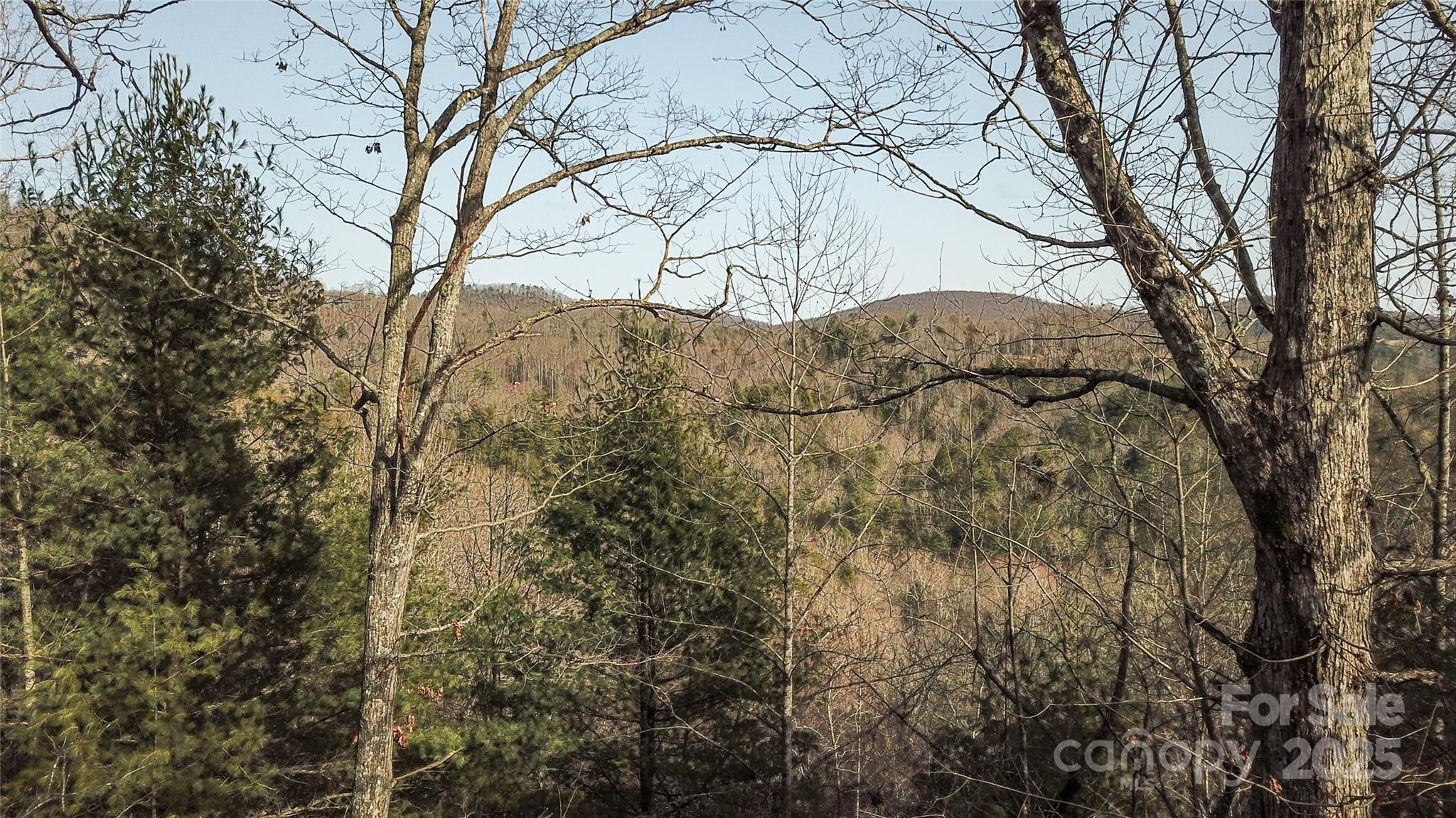 Potential for long range mountain views - 0000 Stepp Ridge Court, Hendersonville