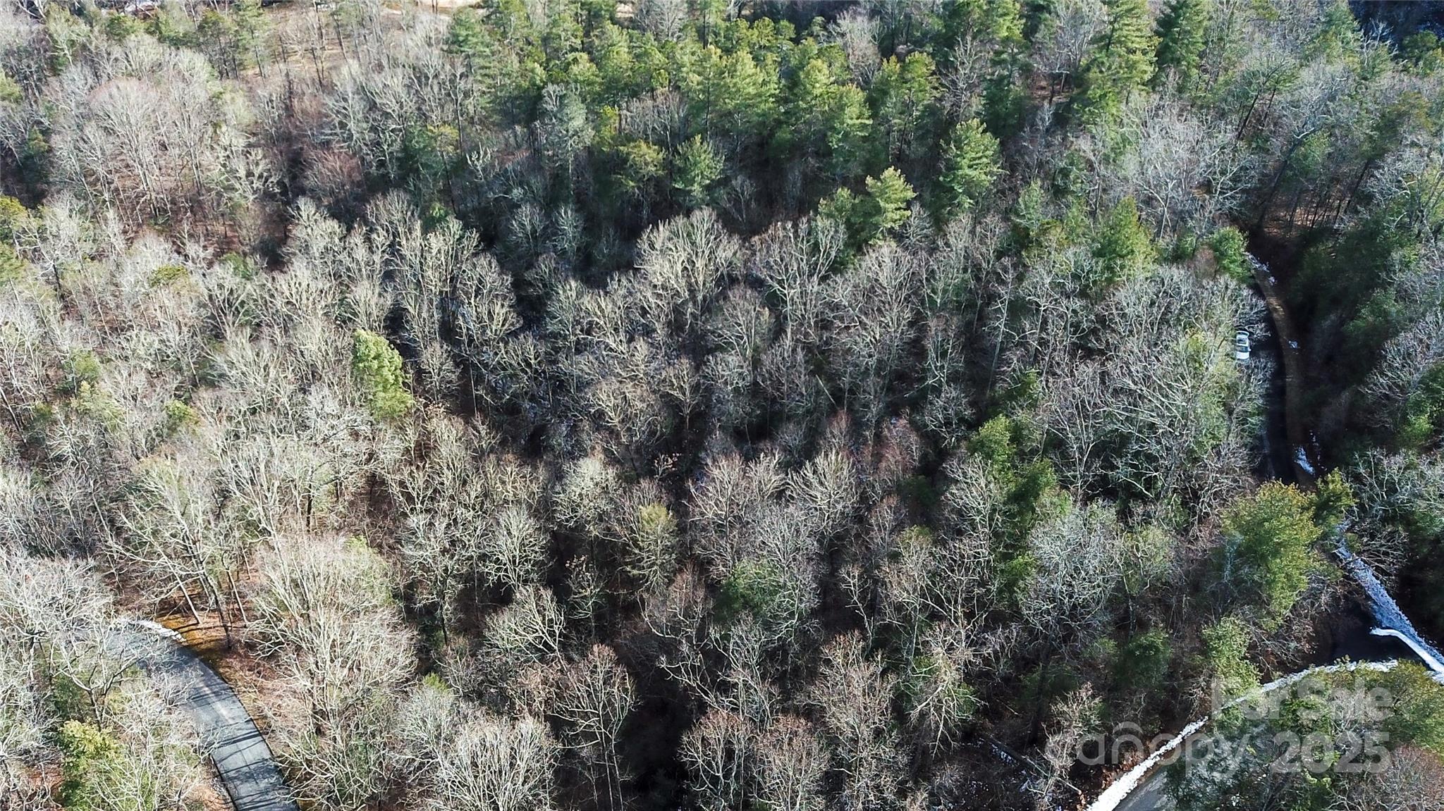 Lot at 0000 Stepp Ridge Court, Hendersonville, photo 10 of 23