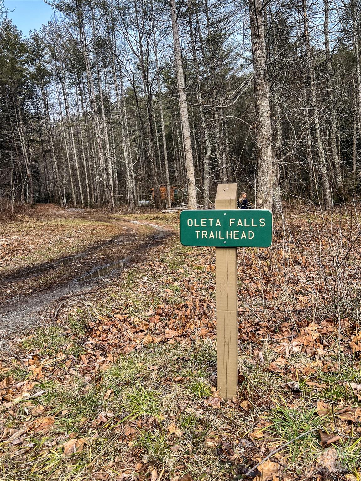 Community Waterfall this way! - 0000 Stepp Ridge Court, Hendersonville