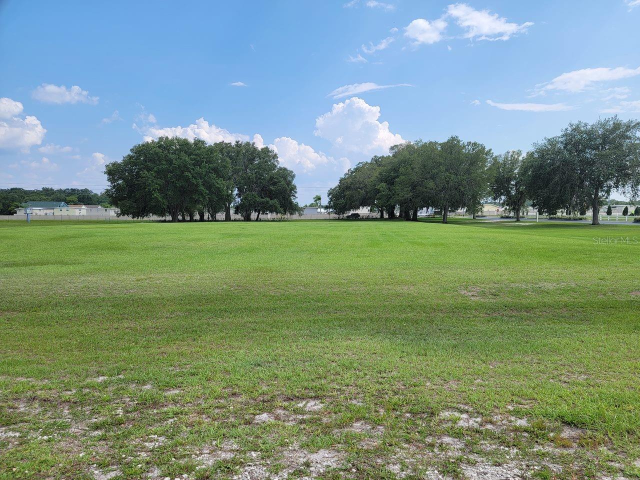 Mixed Use at 39735 CHANCEY RD, ZEPHYRHILLS, photo 5 of 8