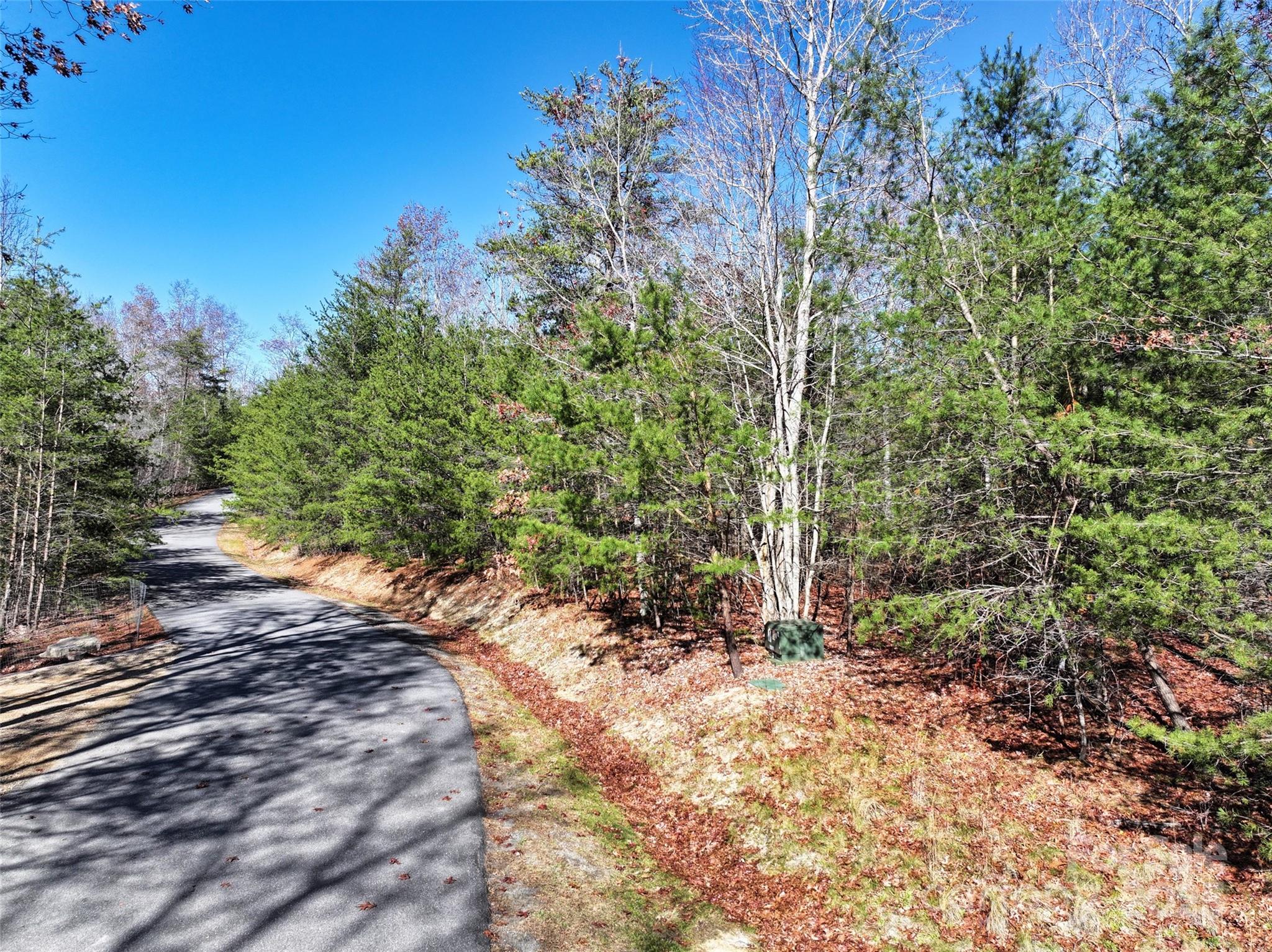 Peaceful road at the property line between lots 17 and 18 - 181 Red Fox Trail, Marshall