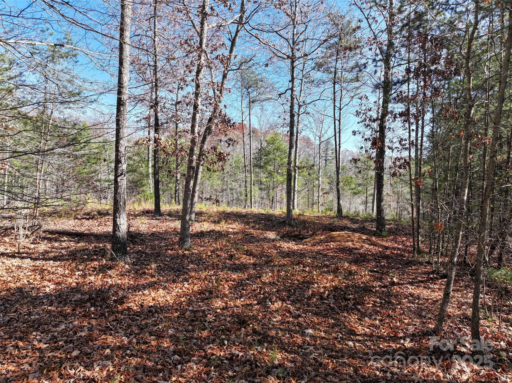 Level spot for building - 181 Red Fox Trail, Marshall