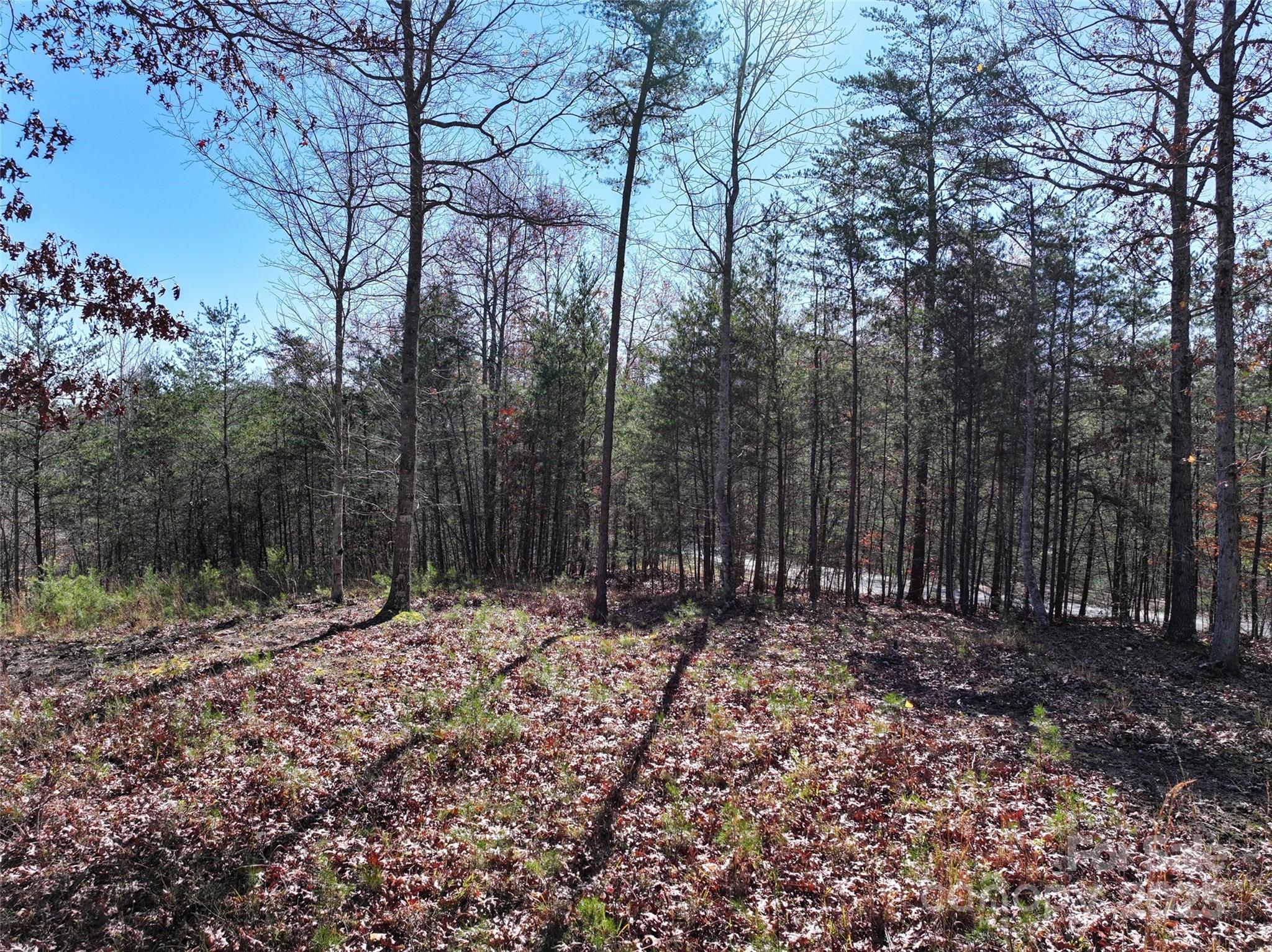 Lot at 181 Red Fox Trail, Marshall, photo 11 of 19