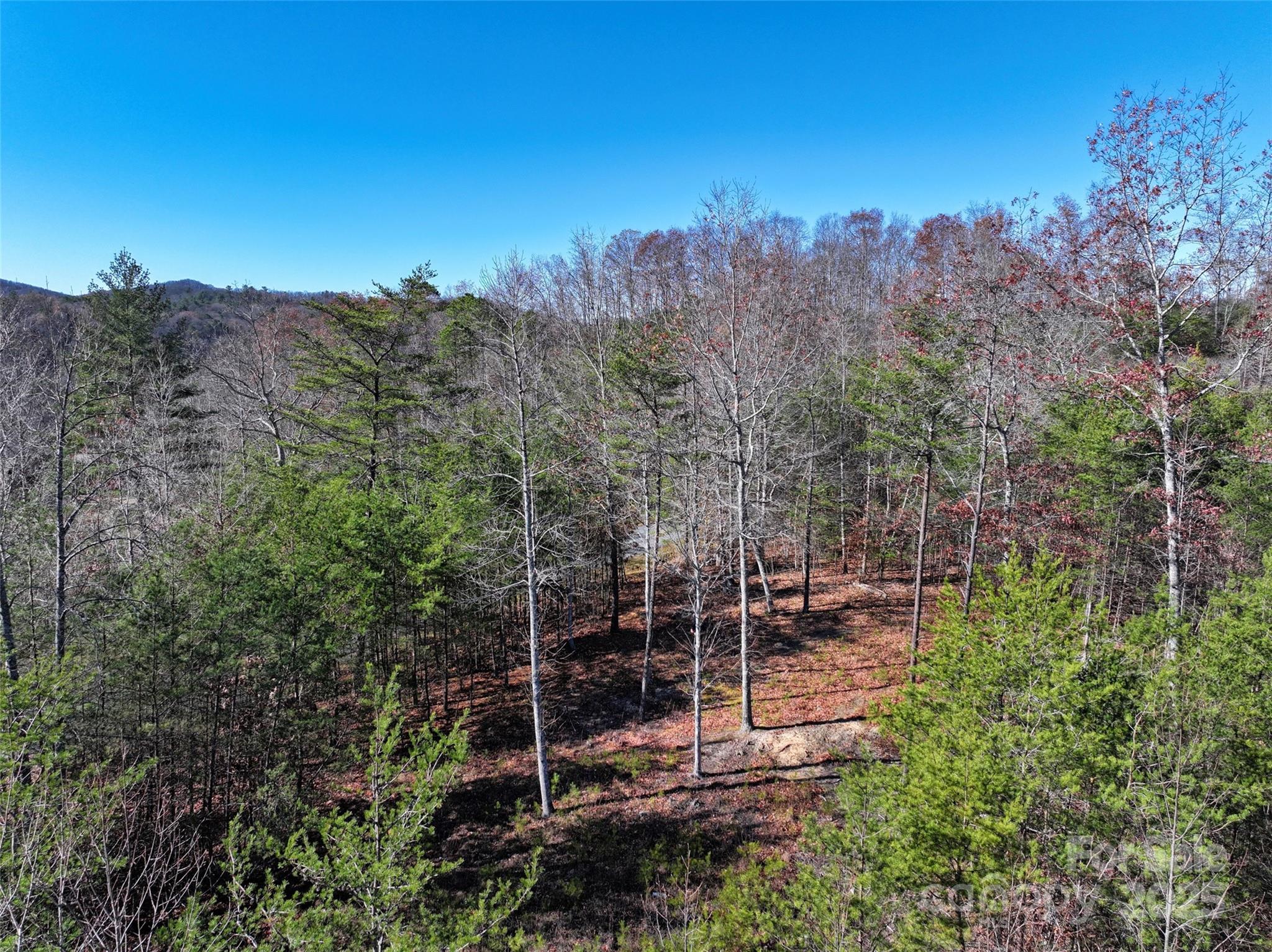 Lot at 181 Red Fox Trail, Marshall, photo 12 of 19