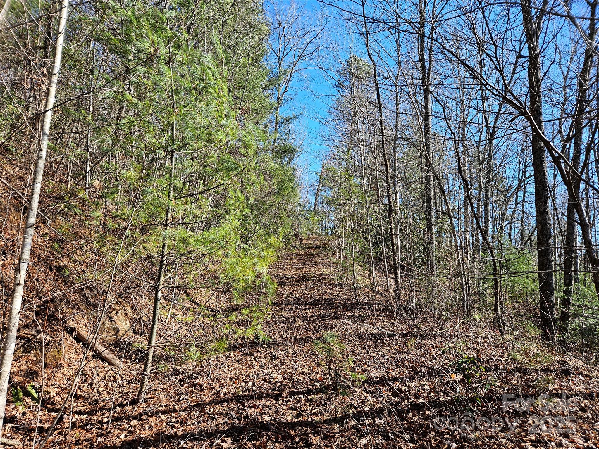 Lot at 00 Wispy Willow Drive, Waynesville, photo 2 of 10
