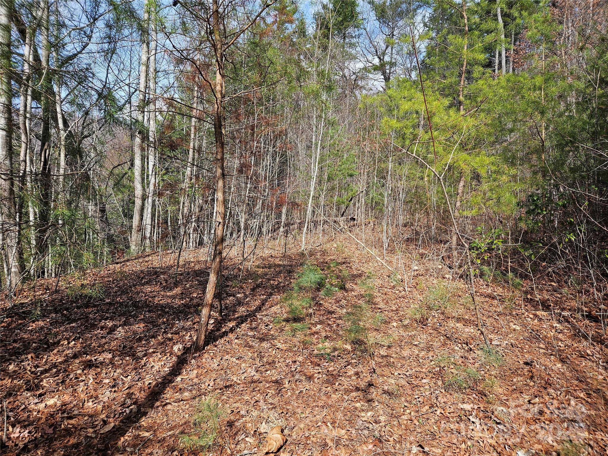 Lot at 00 Wispy Willow Drive, Waynesville, photo 8 of 10