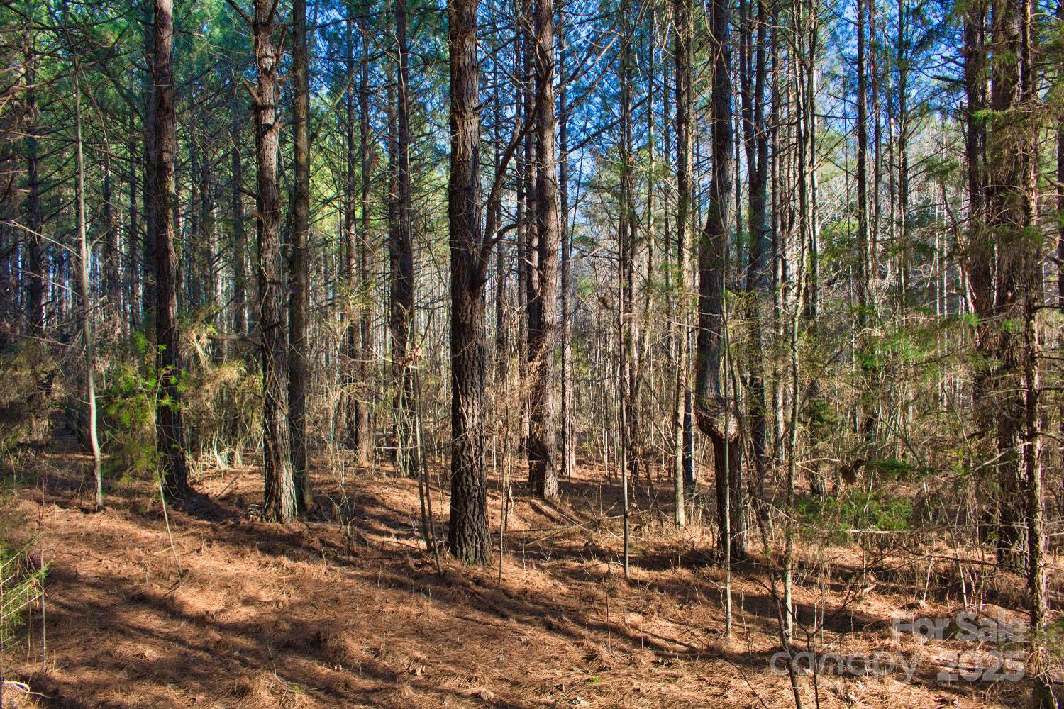 Lot at 0 Clearwater Parkway, Rutherfordton, photo 4 of 6