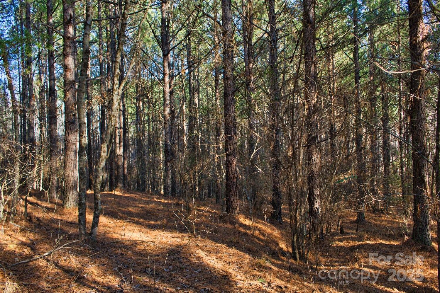 Lot at 0 Clearwater Parkway, Rutherfordton, photo 6 of 6