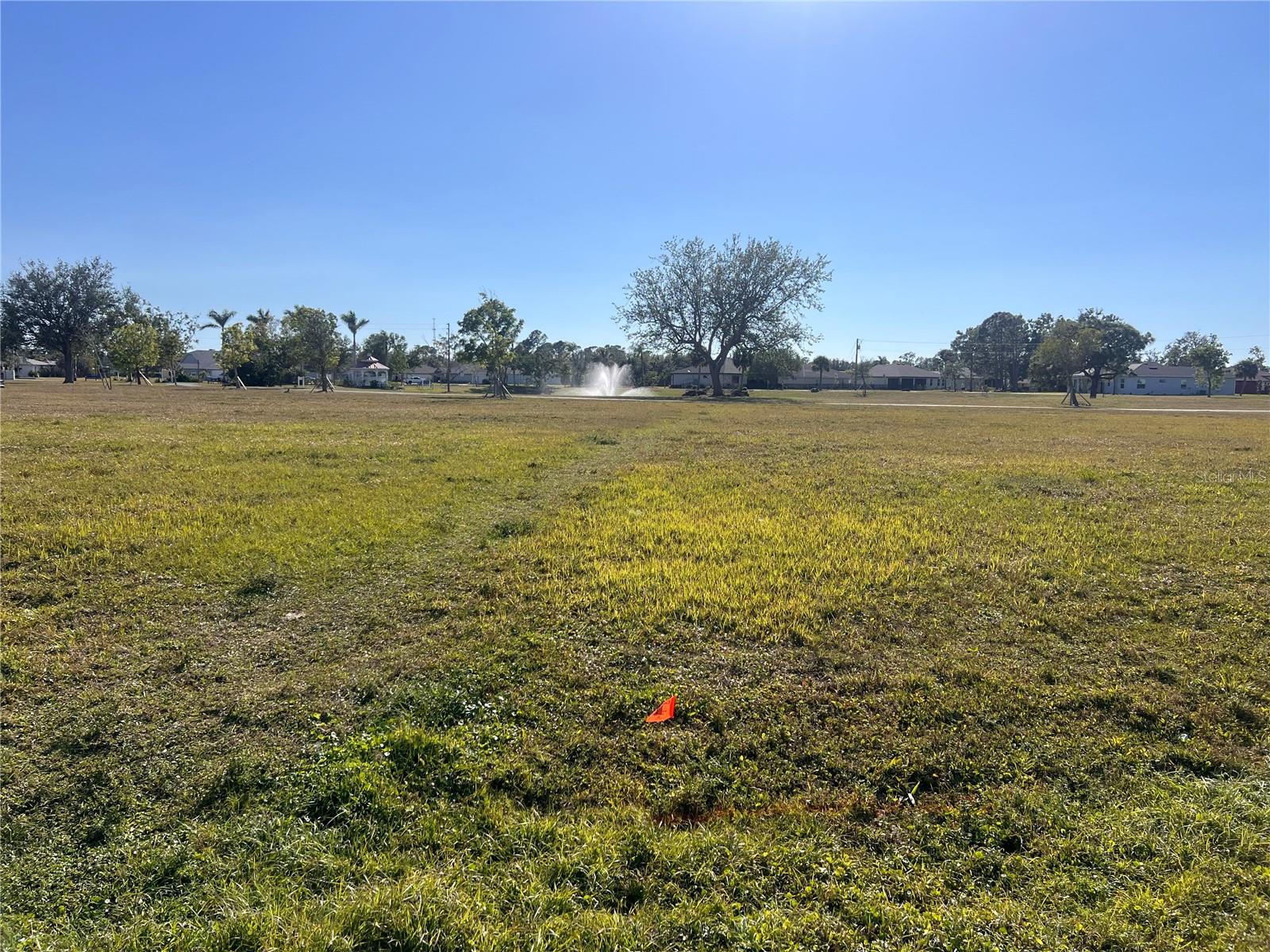 Land at 25325 LYCHEE CT, PUNTA GORDA, photo 2 of 18