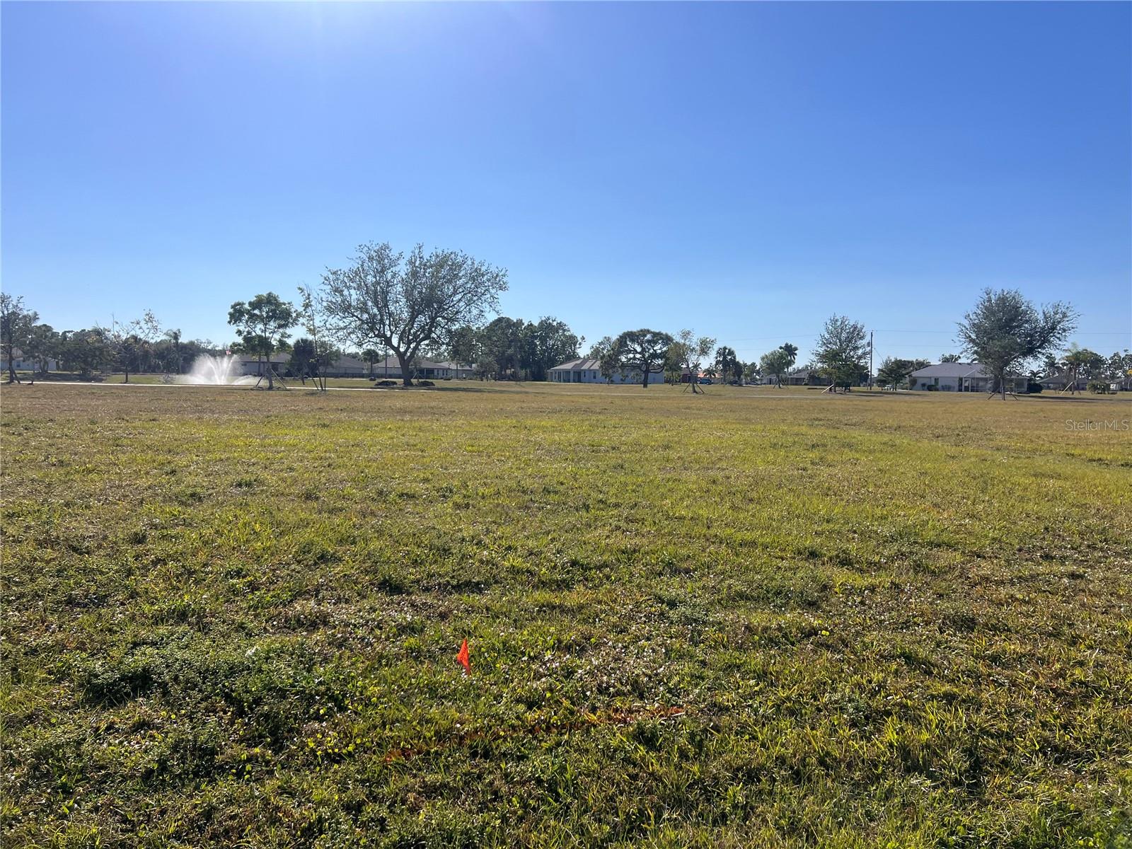 Land at 25325 LYCHEE CT, PUNTA GORDA, photo 4 of 18