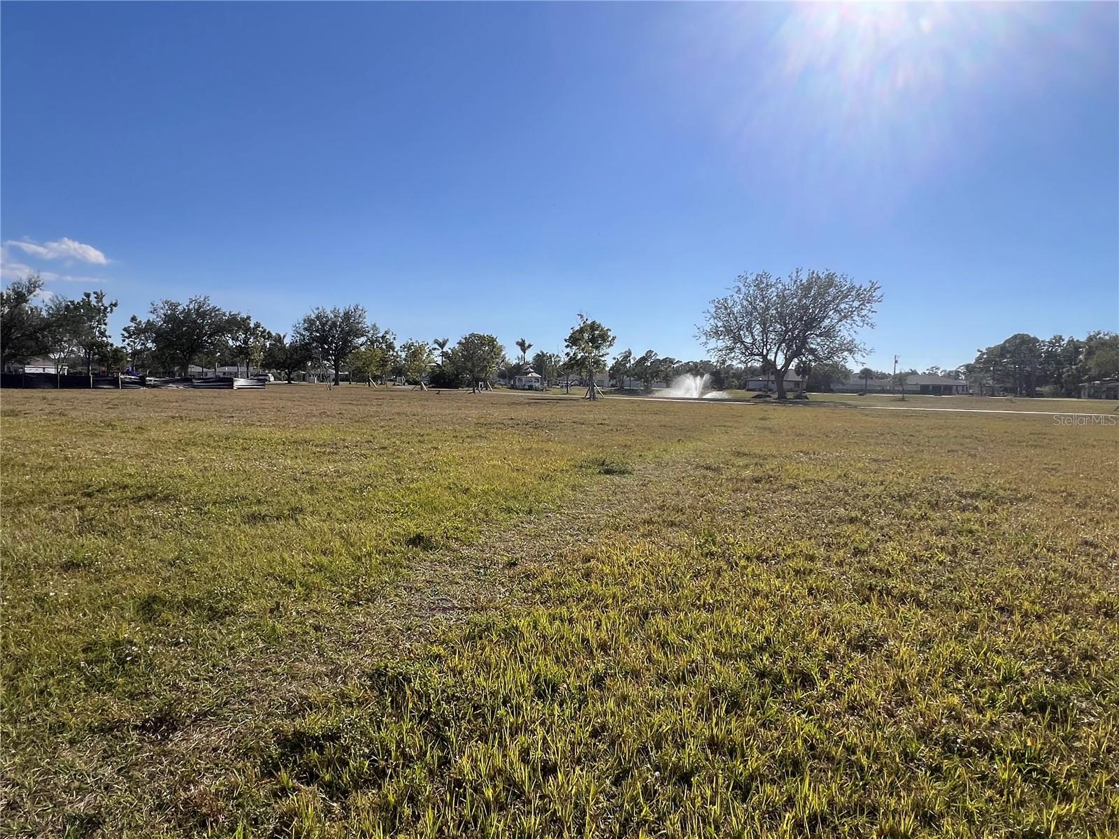 Land at 25325 LYCHEE CT, PUNTA GORDA, photo 8 of 18