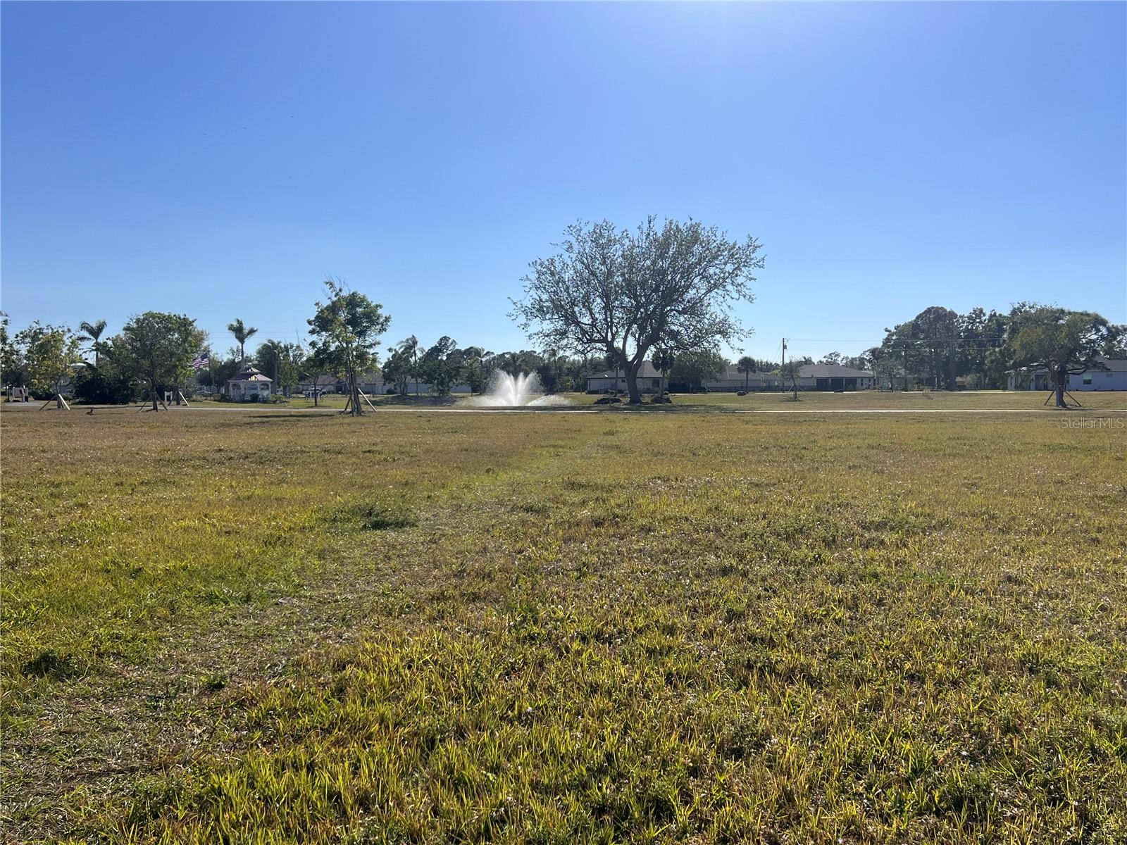 Land at 25325 LYCHEE CT, PUNTA GORDA, photo 11 of 18