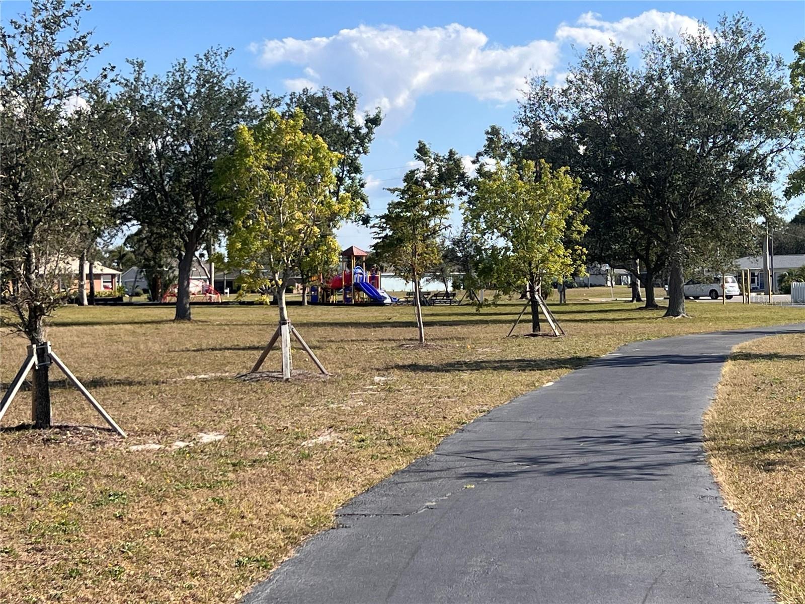Land at 25325 LYCHEE CT, PUNTA GORDA, photo 12 of 18