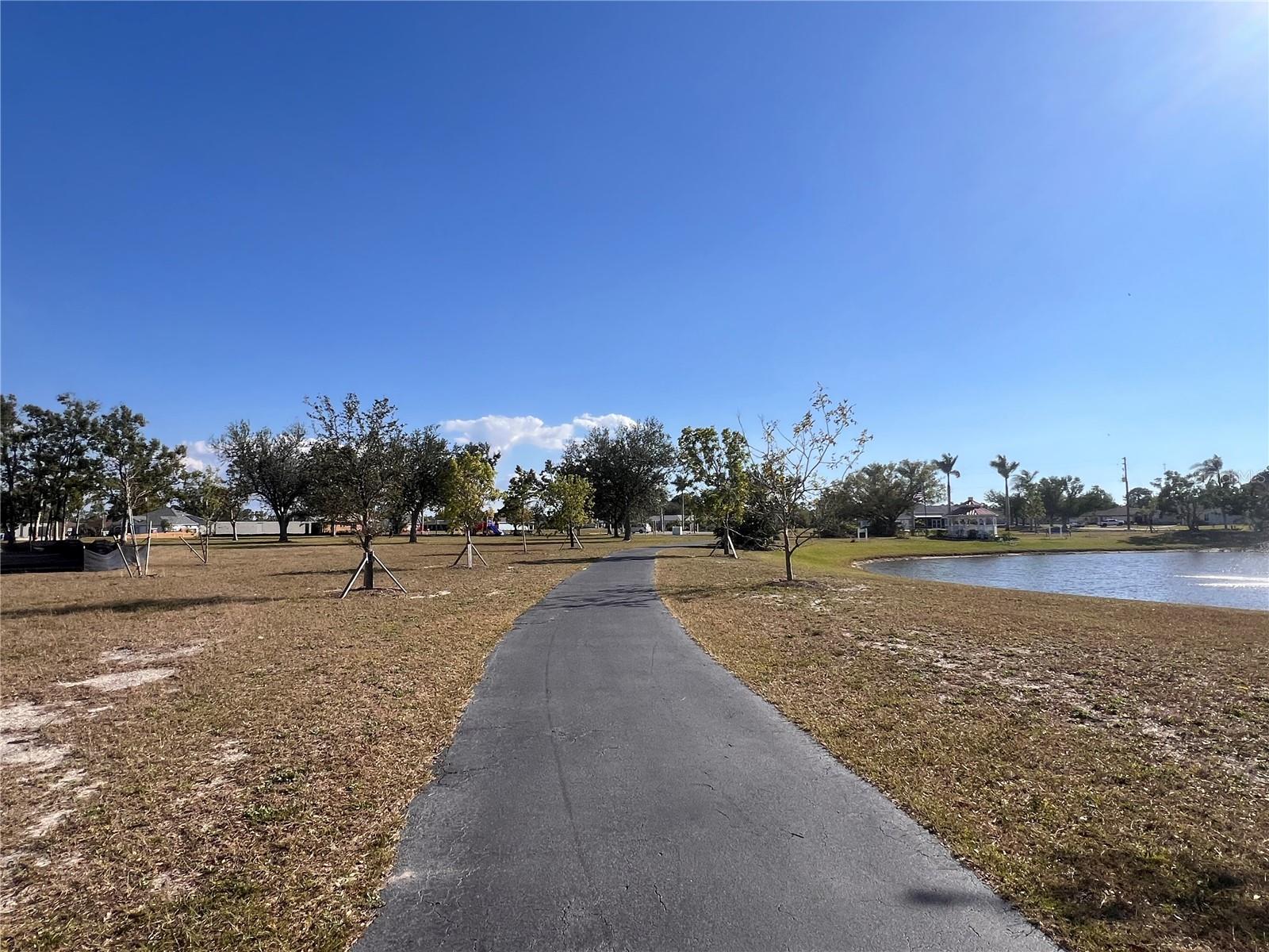 Land at 25325 LYCHEE CT, PUNTA GORDA, photo 13 of 18