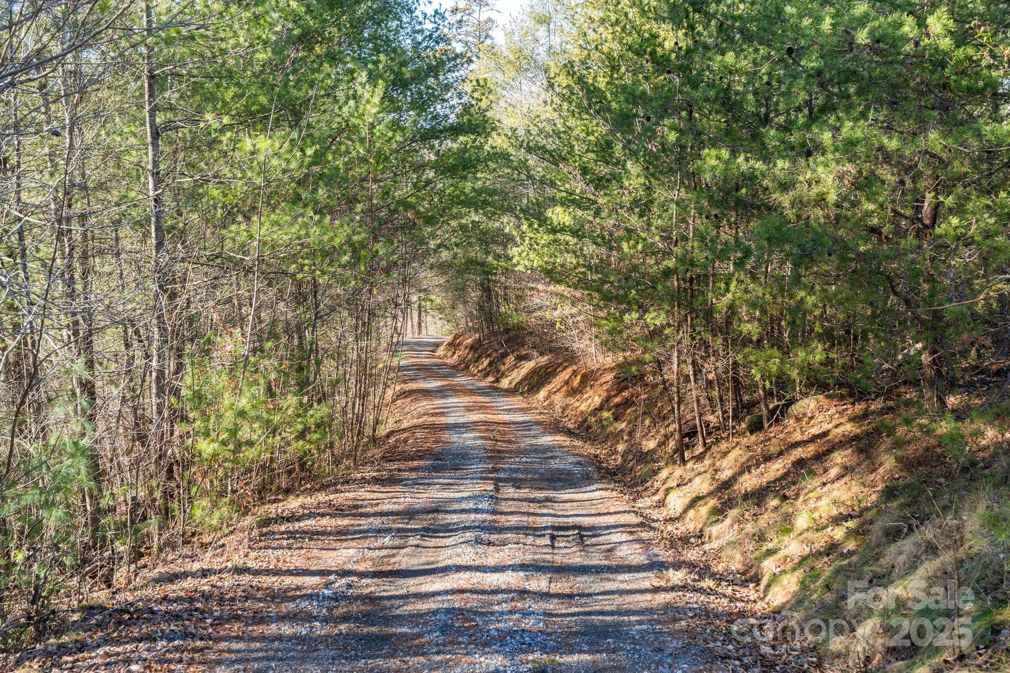 Road through property - 131 Ivy Bluff Road, Marshall