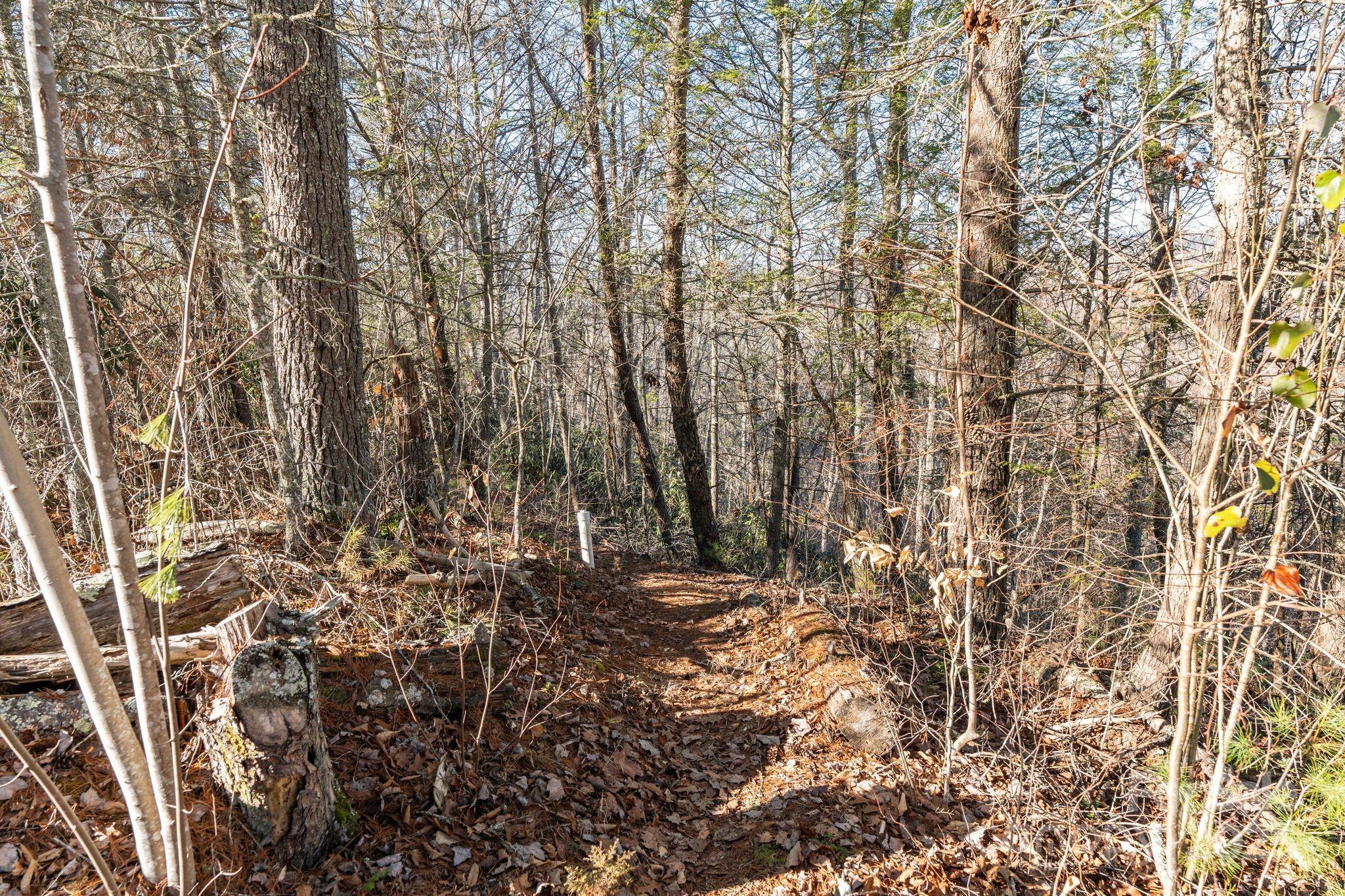 Walking Trail - 131 Ivy Bluff Road, Marshall