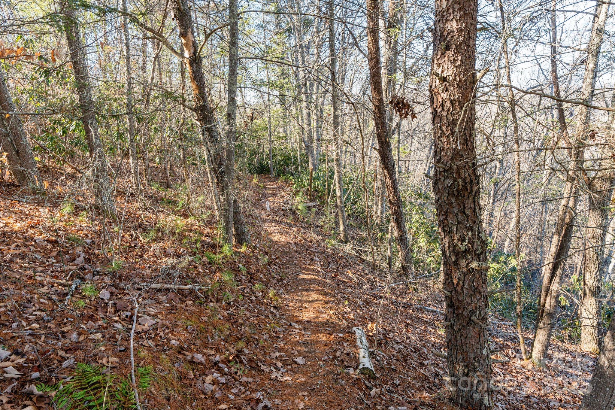Trail - 131 Ivy Bluff Road, Marshall