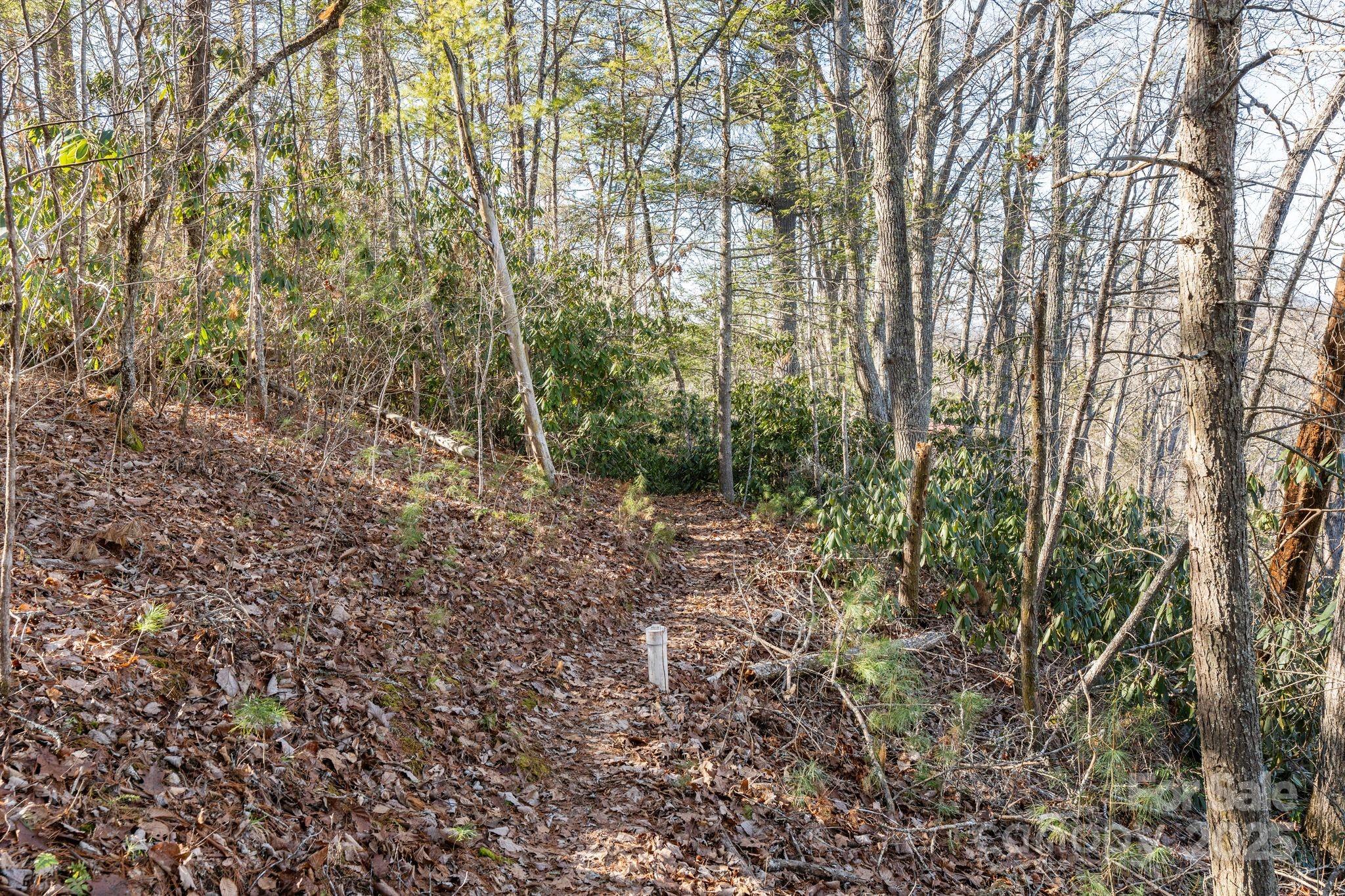 Lot at 131 Ivy Bluff Road, Marshall, photo 8 of 24