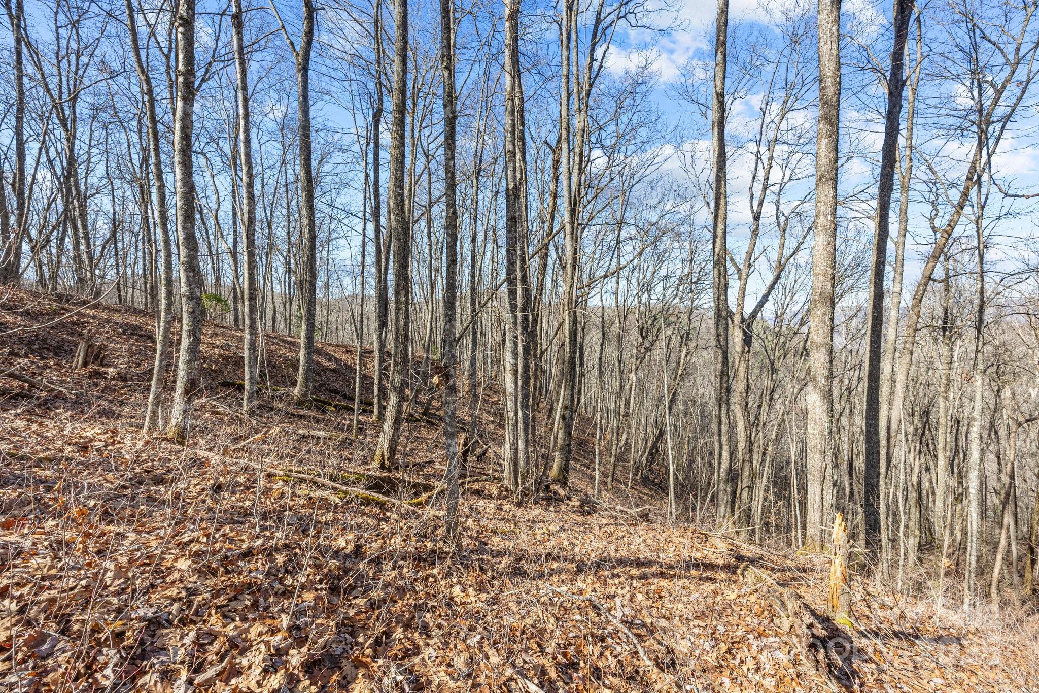 Lot at Lot F115 Leafy Knoll Circle, Glenville, photo 13 of 16