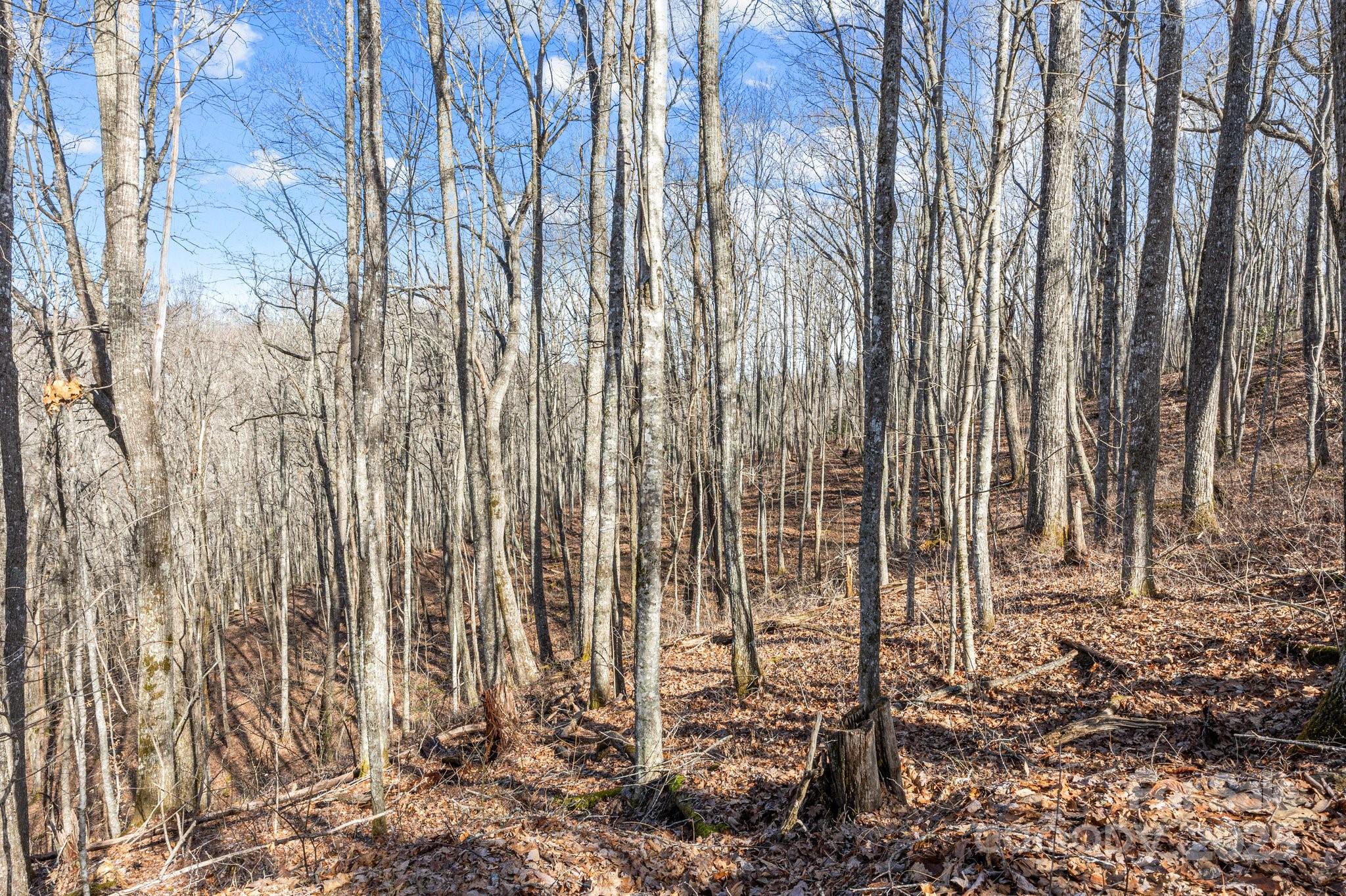 Lot at Lot F115 Leafy Knoll Circle, Glenville, photo 14 of 16