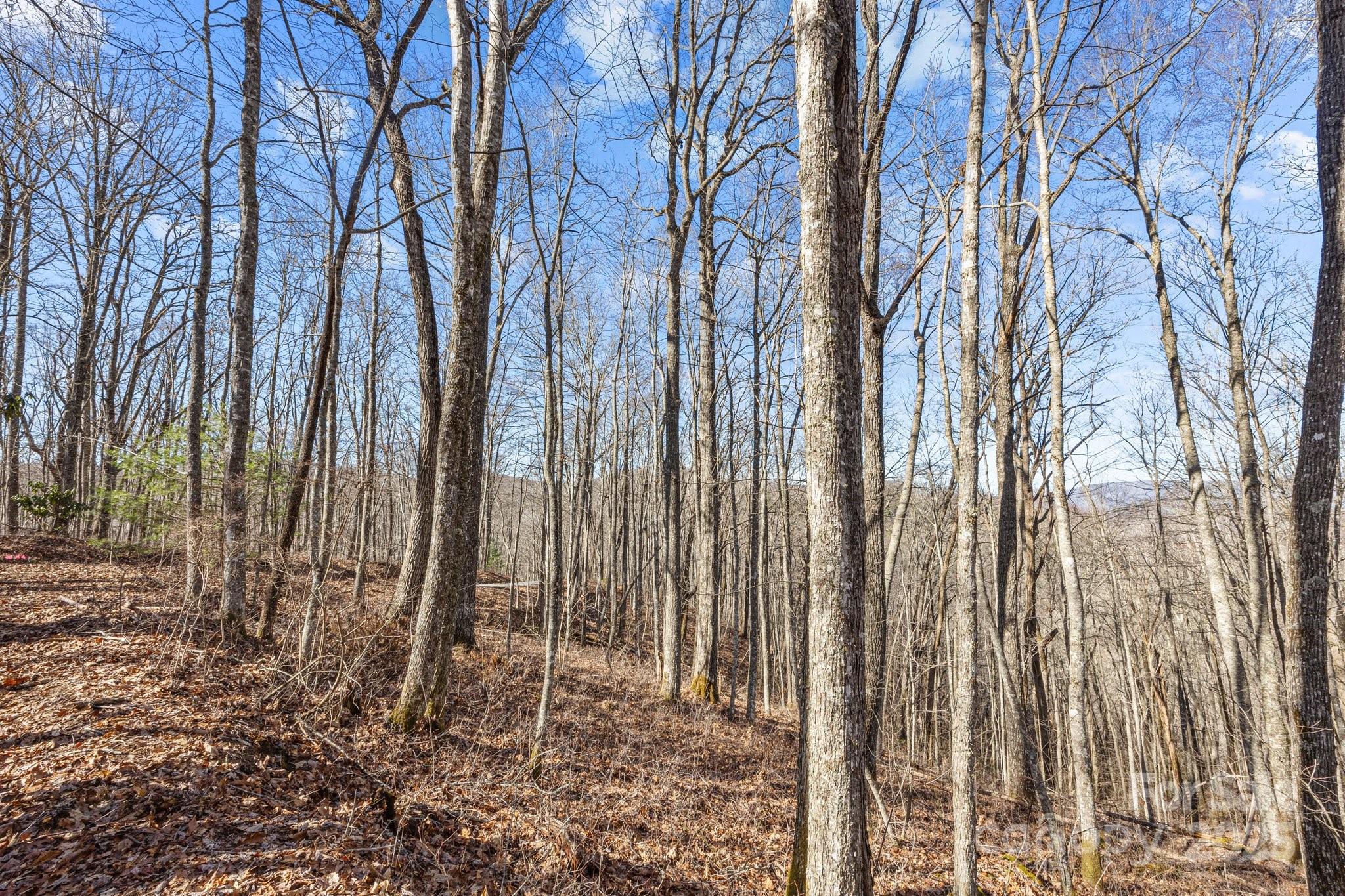 Lot at Lot F115 Leafy Knoll Circle, Glenville, photo 15 of 16