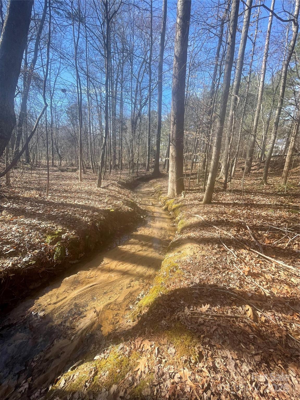 Small Creek on back boundary of property - 00 Rutan Court, Mooresville