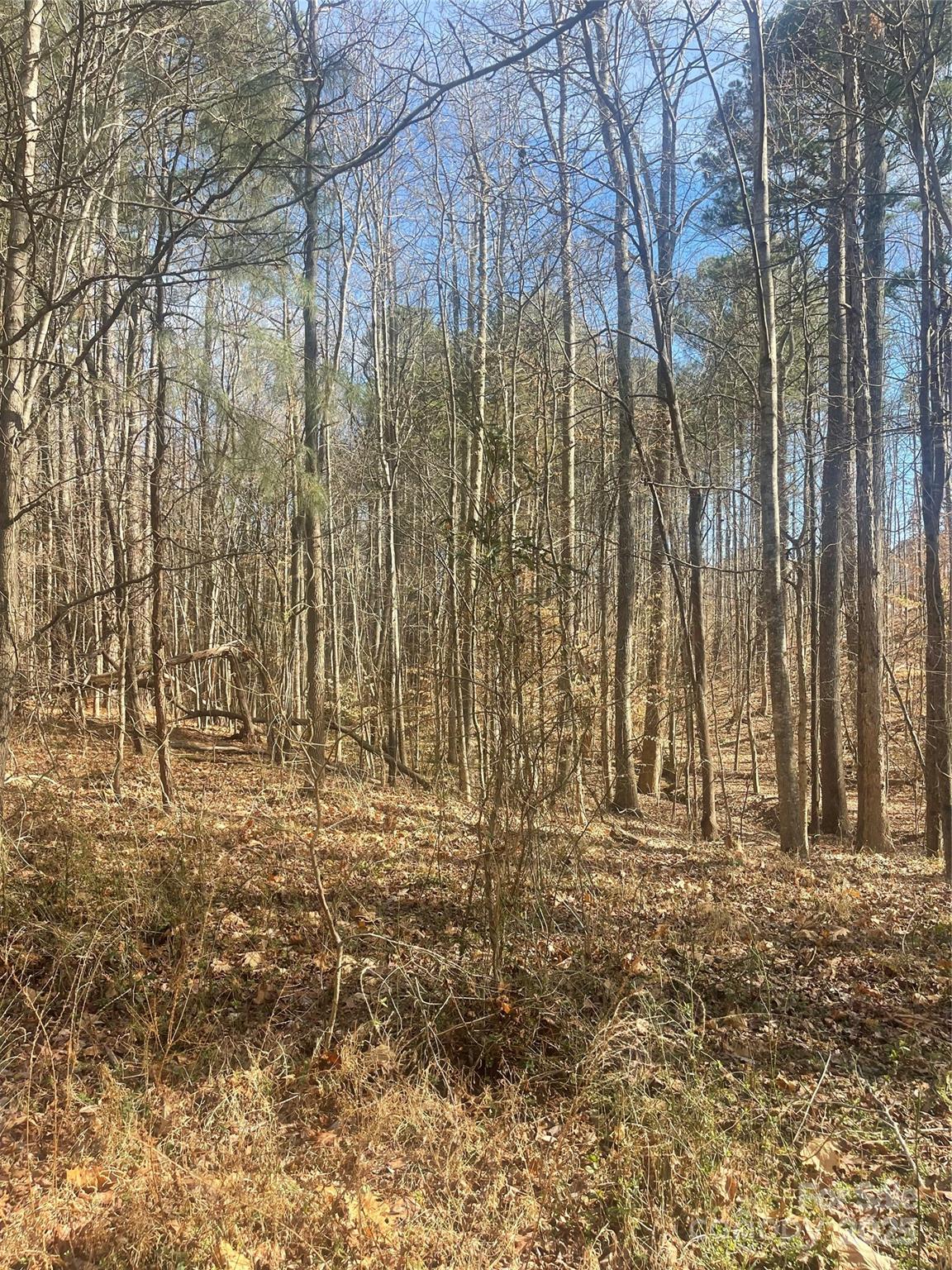 Lot at 00 Rutan Court, Mooresville, photo 3 of 10