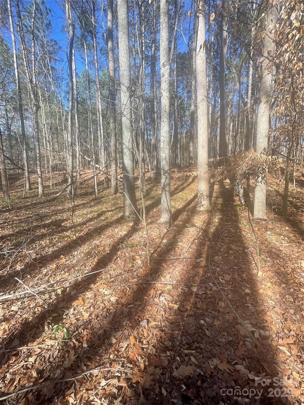 Lot at 00 Rutan Court, Mooresville, photo 7 of 10
