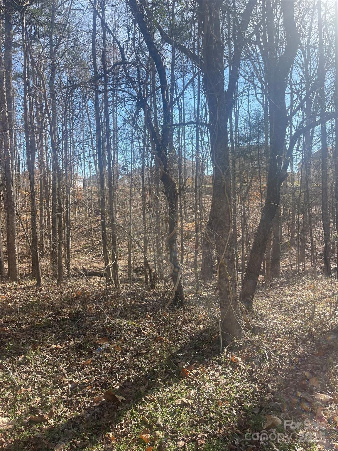 Lot at 00 Rutan Court, Mooresville, photo 8 of 10