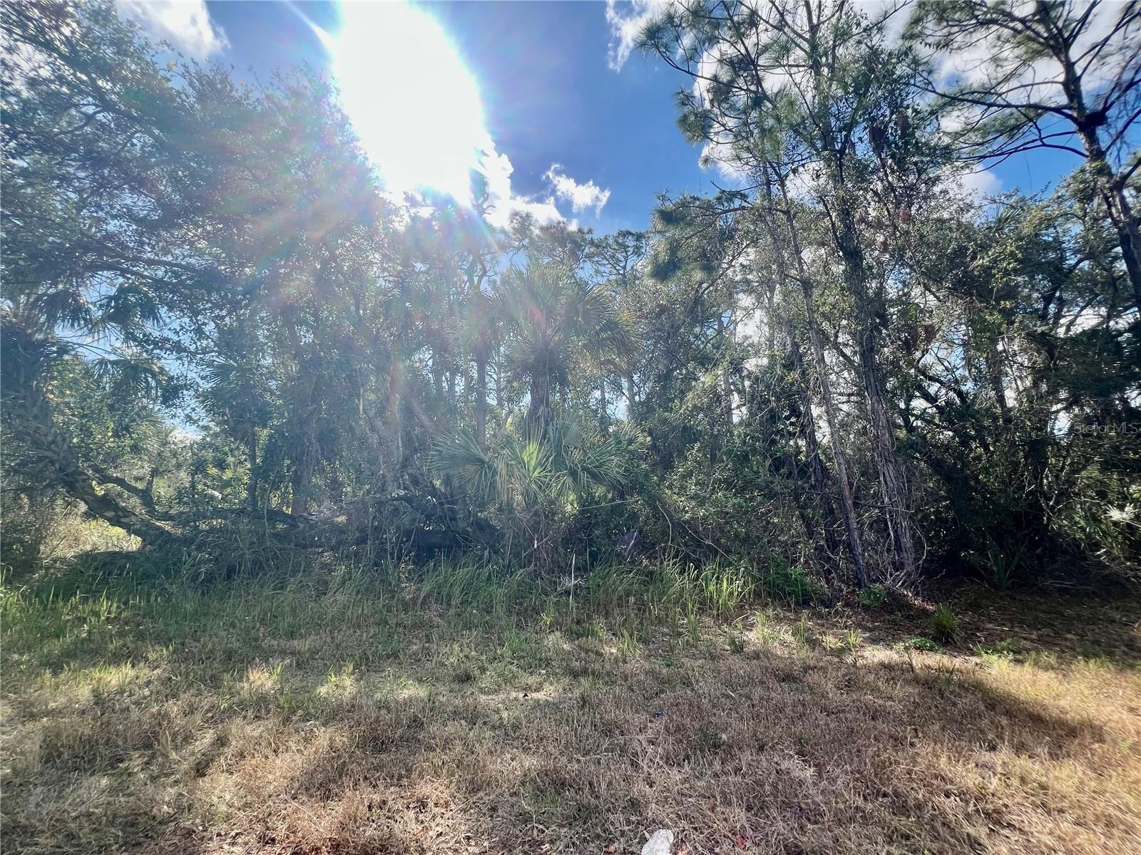 Lot 8 ABBEVILLE RD